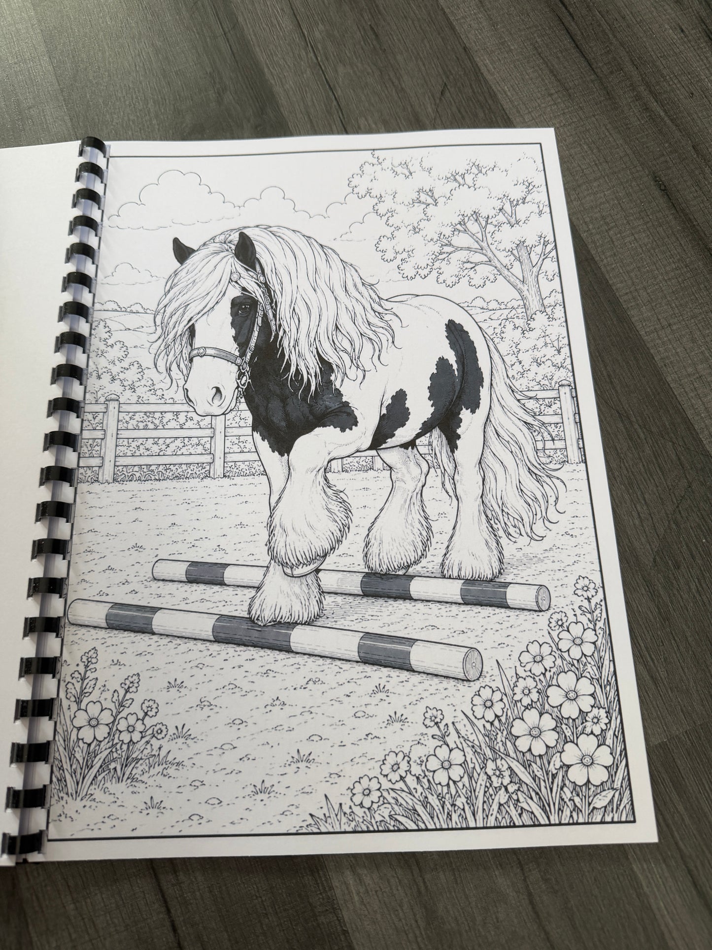 Gypsy Vanner Horses Colouring Book – Horse & Traditional Traveller Inspired Colouring Pages