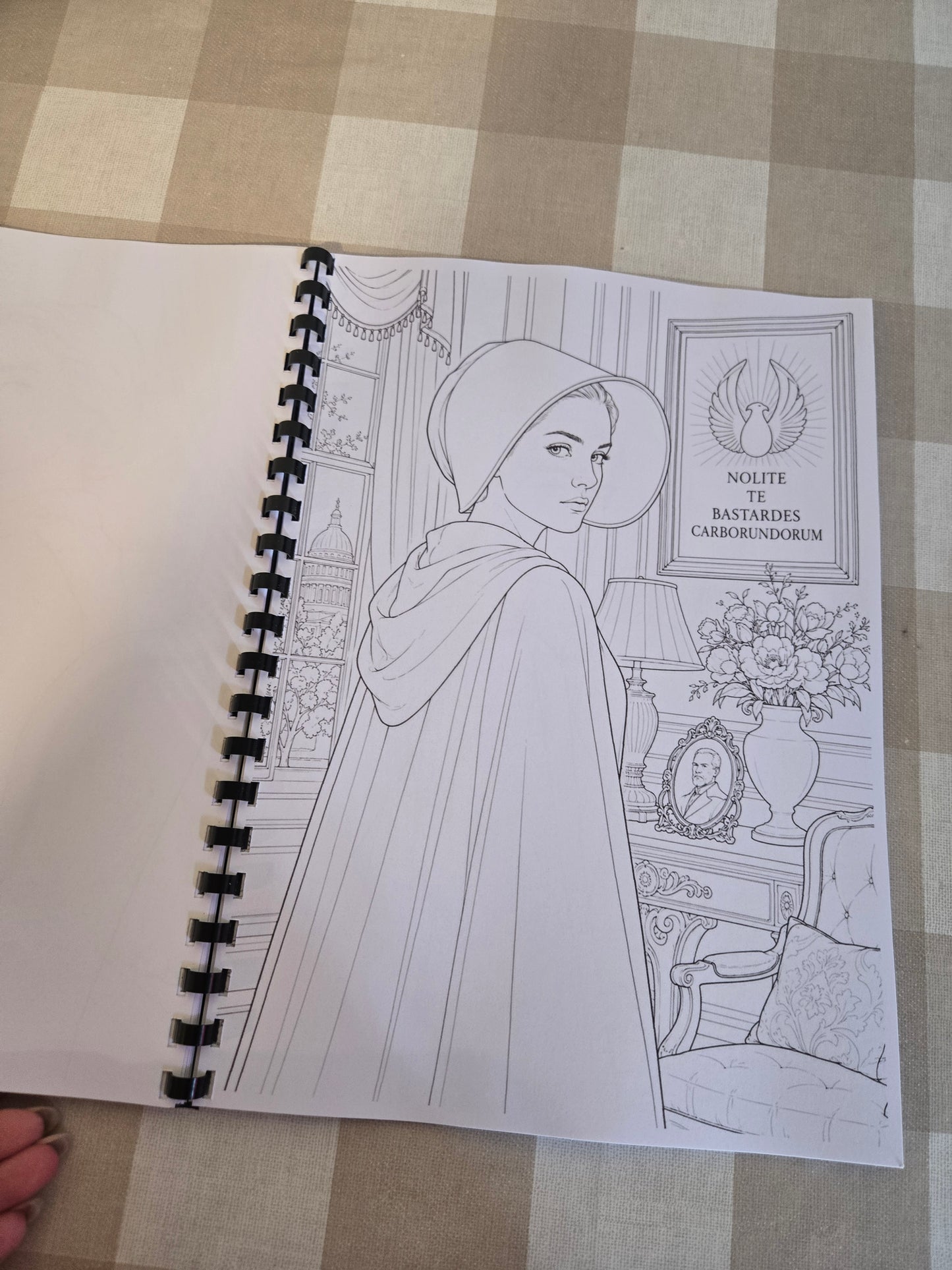 Handmaid’s Tale Colouring Book