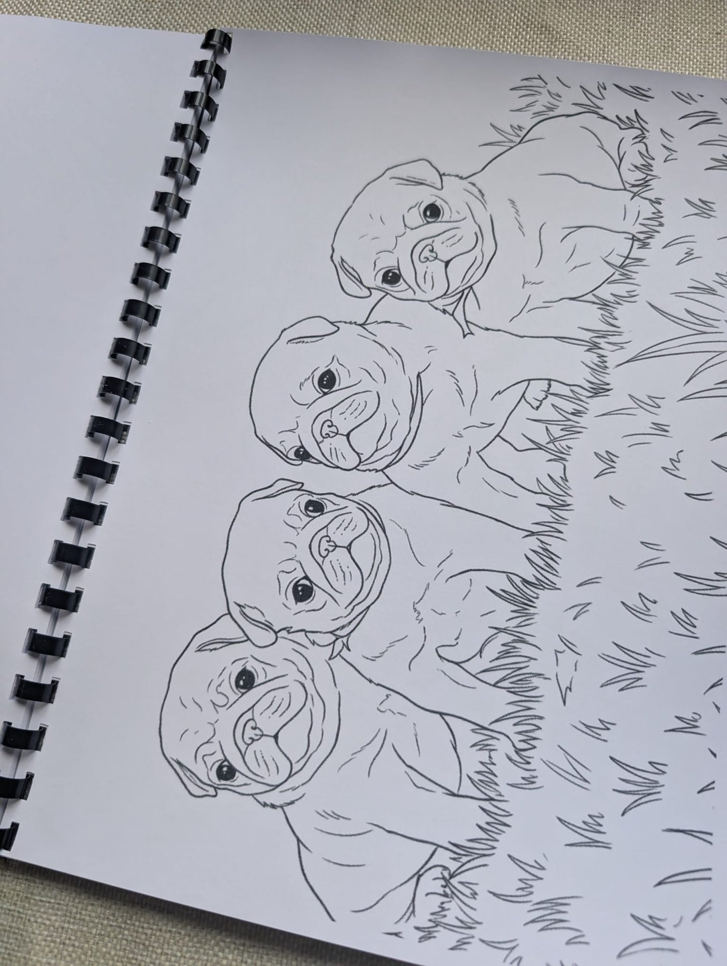 Pugs Colouring Book – Adorable Pug Dog Colouring Book | 20+ Cute & Fun Pug-Themed Colouring Pages