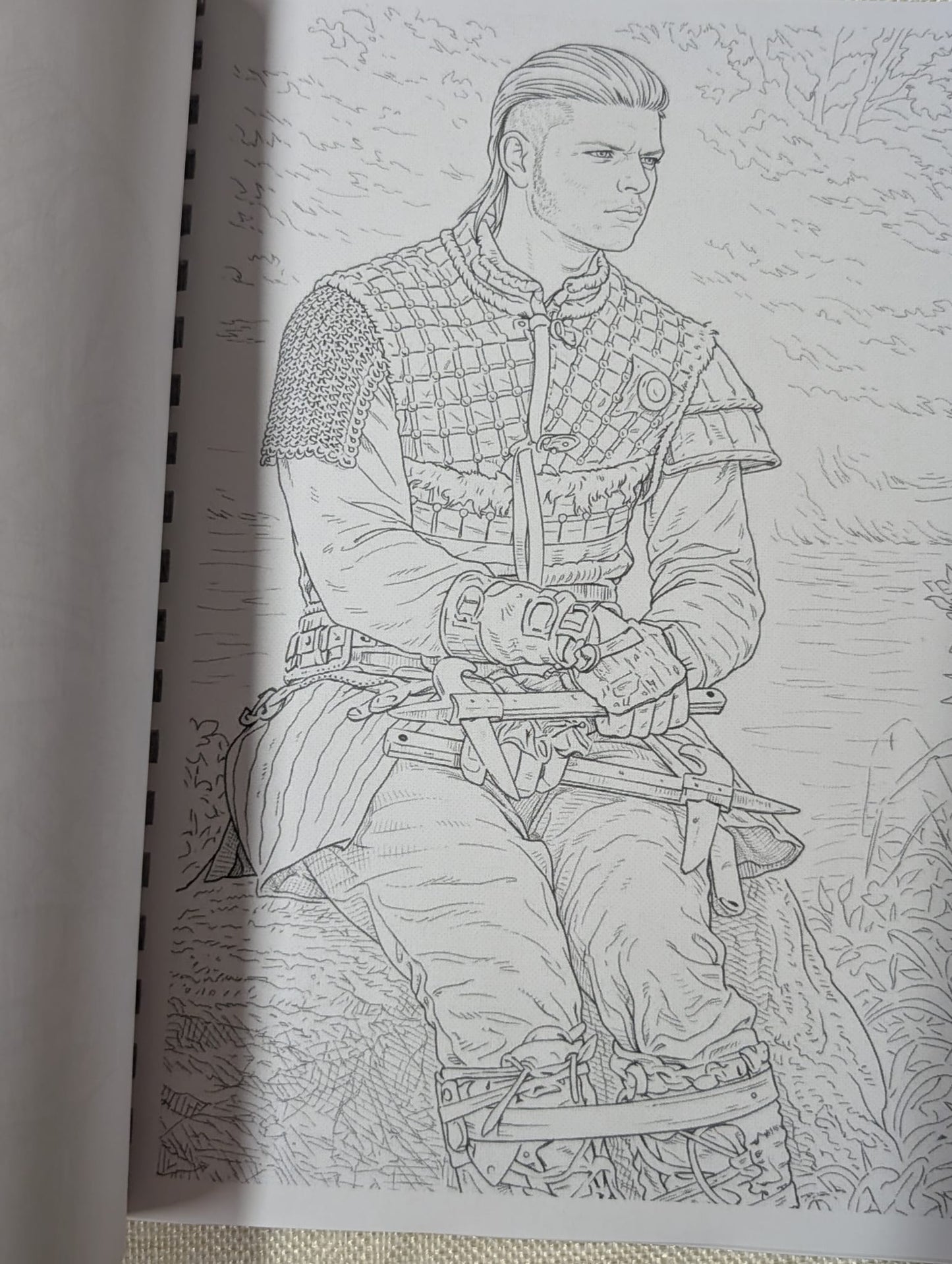 Vikings Inspired Colouring Book