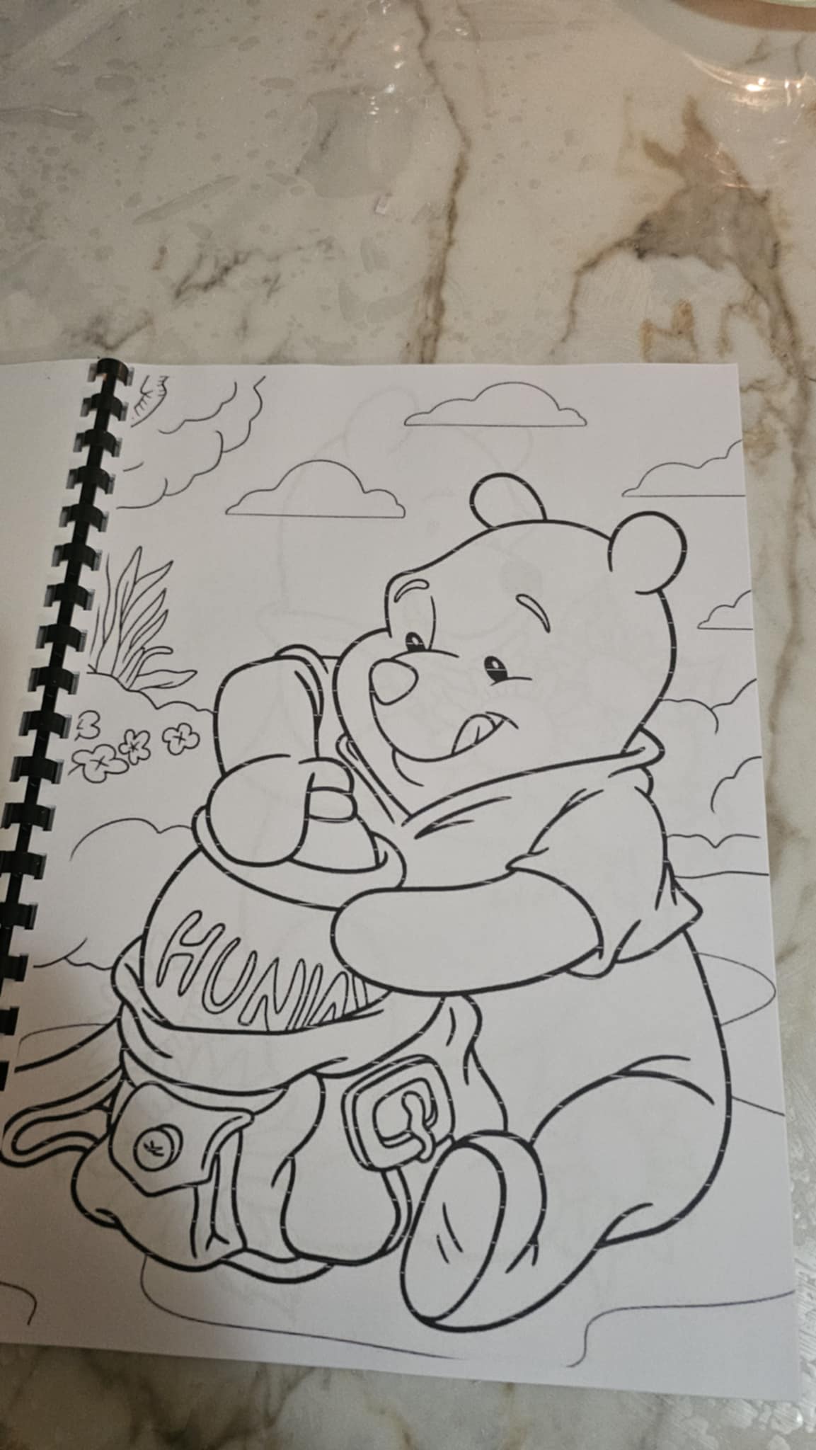 Winnie the Pooh Colouring Book