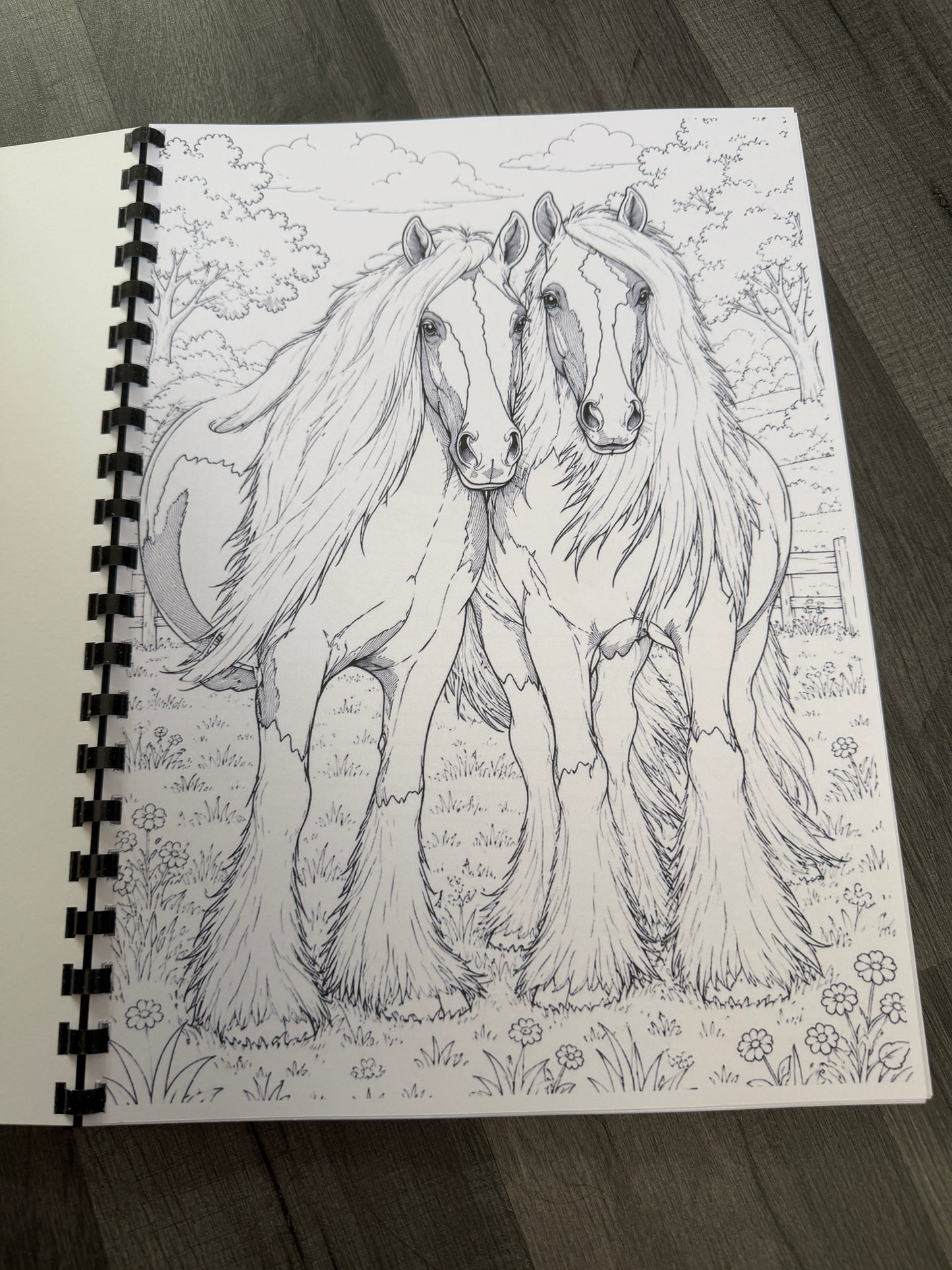 Gypsy Vanner Horses Colouring Book – Horse & Traditional Traveller Inspired Colouring Pages