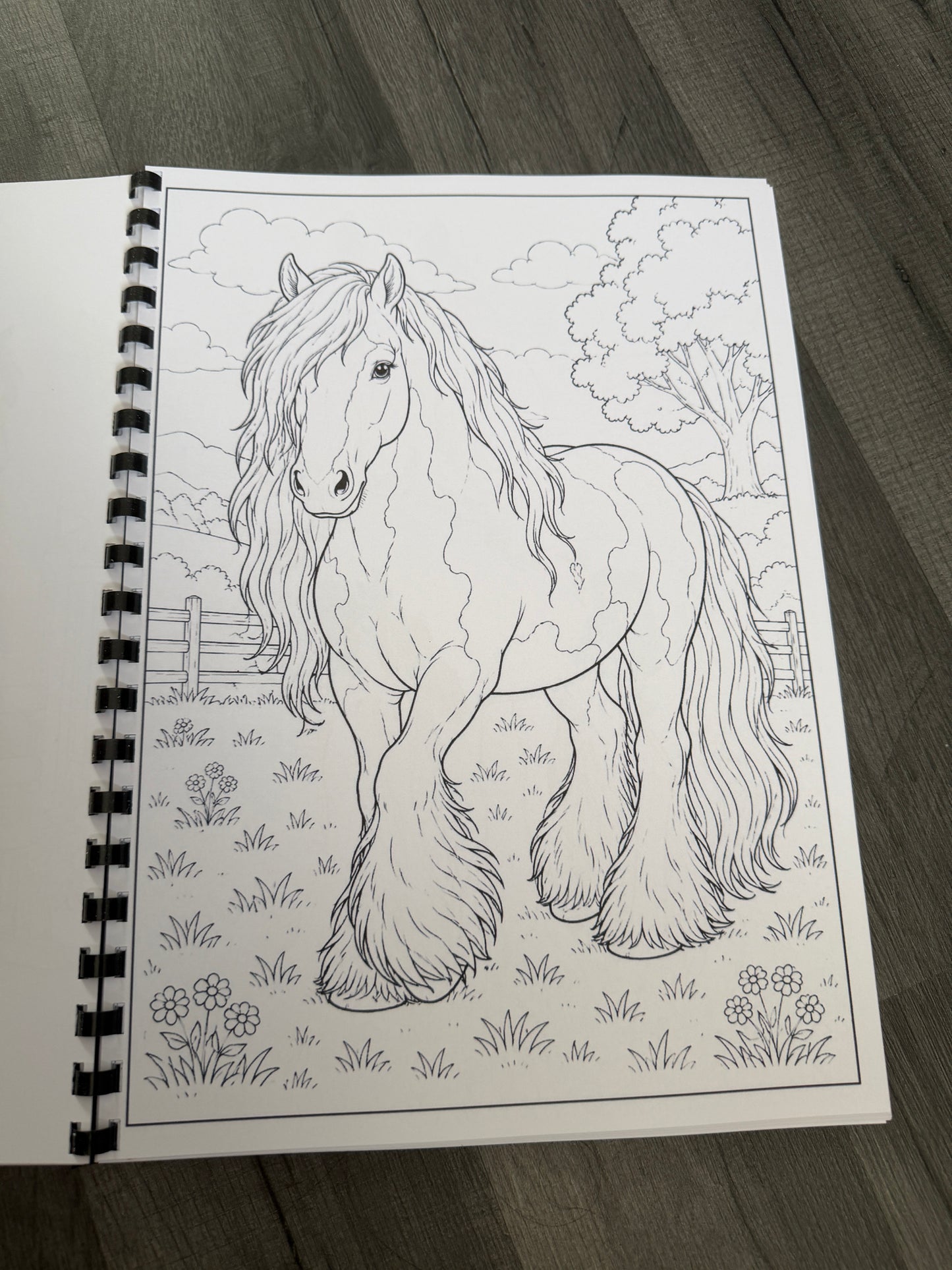 Gypsy Vanner Horses Colouring Book – Horse & Traditional Traveller Inspired Colouring Pages