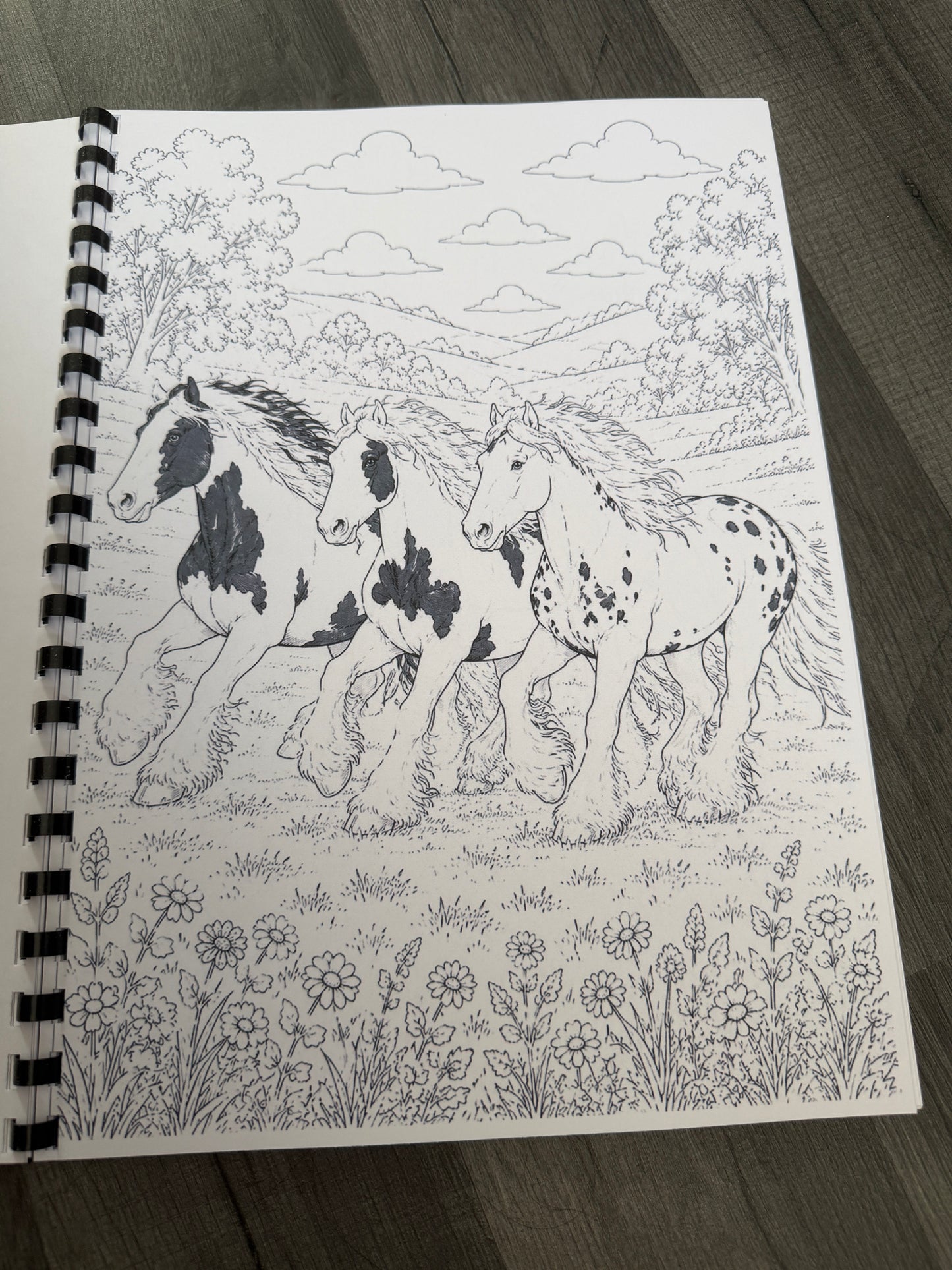 Gypsy Vanner Horses Colouring Book – Horse & Traditional Traveller Inspired Colouring Pages