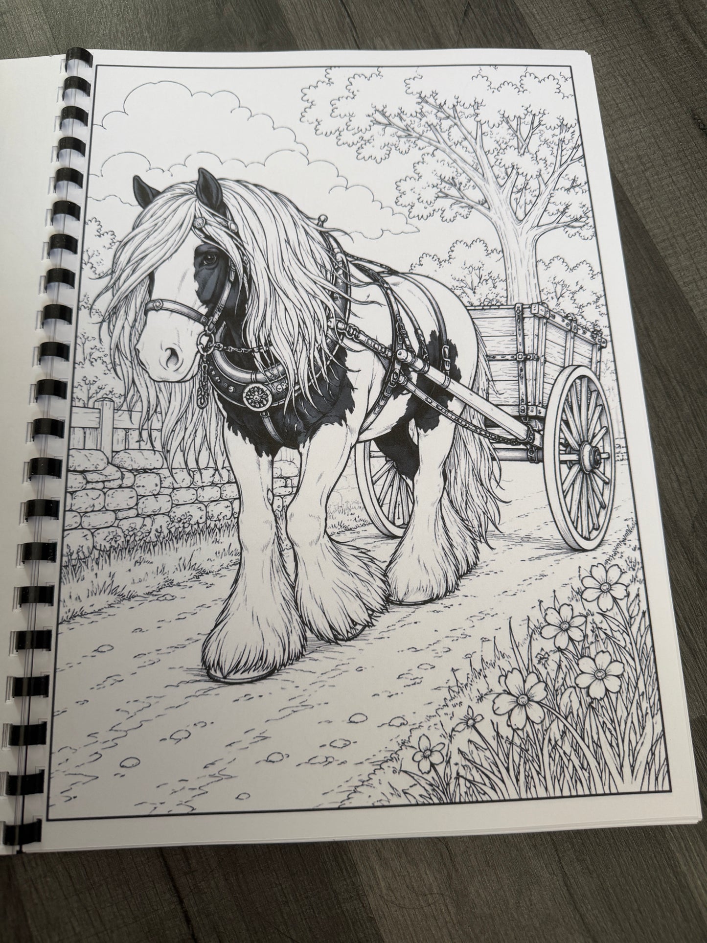 Gypsy Vanner Horses Colouring Book – Horse & Traditional Traveller Inspired Colouring Pages
