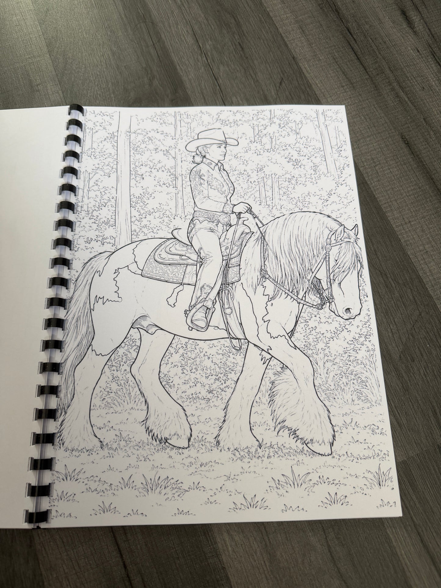 Gypsy Vanner Horses Colouring Book – Horse & Traditional Traveller Inspired Colouring Pages