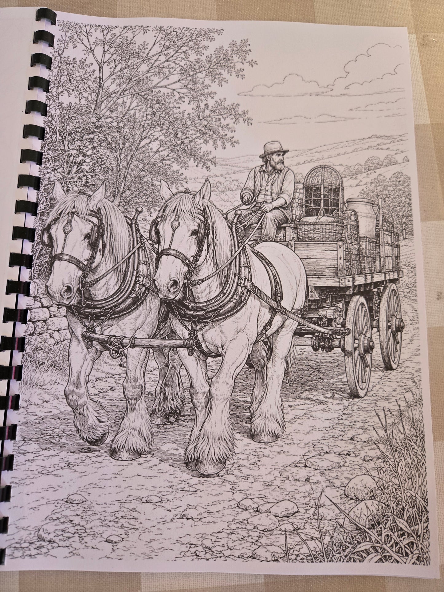 Gypsy Wagons & Horses Colouring Book – A4 Printed Traveller Heritage Colouring Book