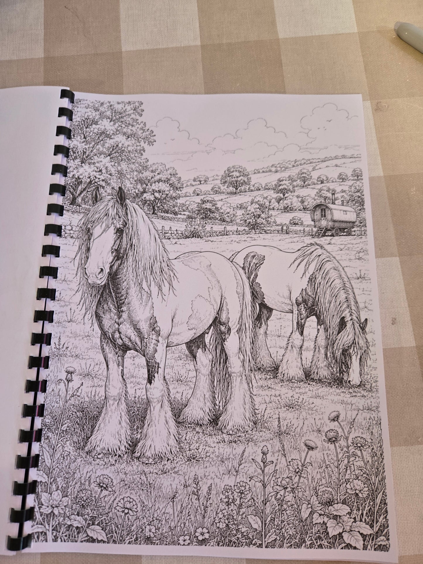 Gypsy Wagons & Horses Colouring Book – A4 Printed Traveller Heritage Colouring Book