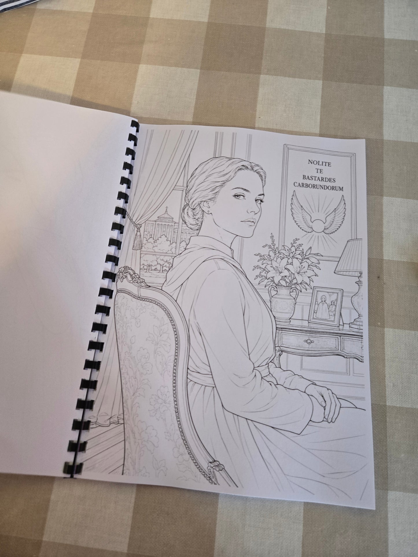 Handmaid’s Tale Colouring Book