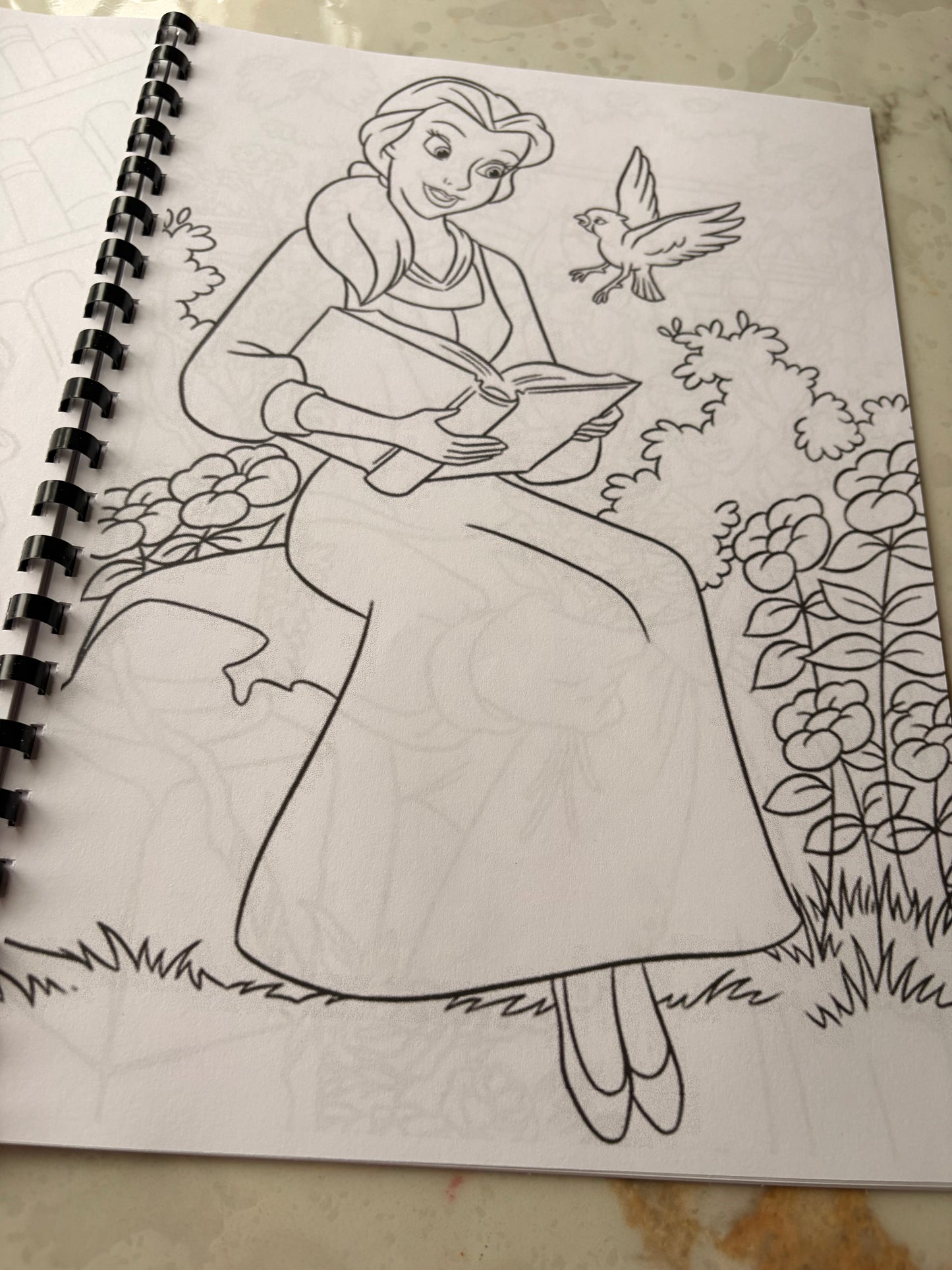 Beauty & The Beast Colouring Book