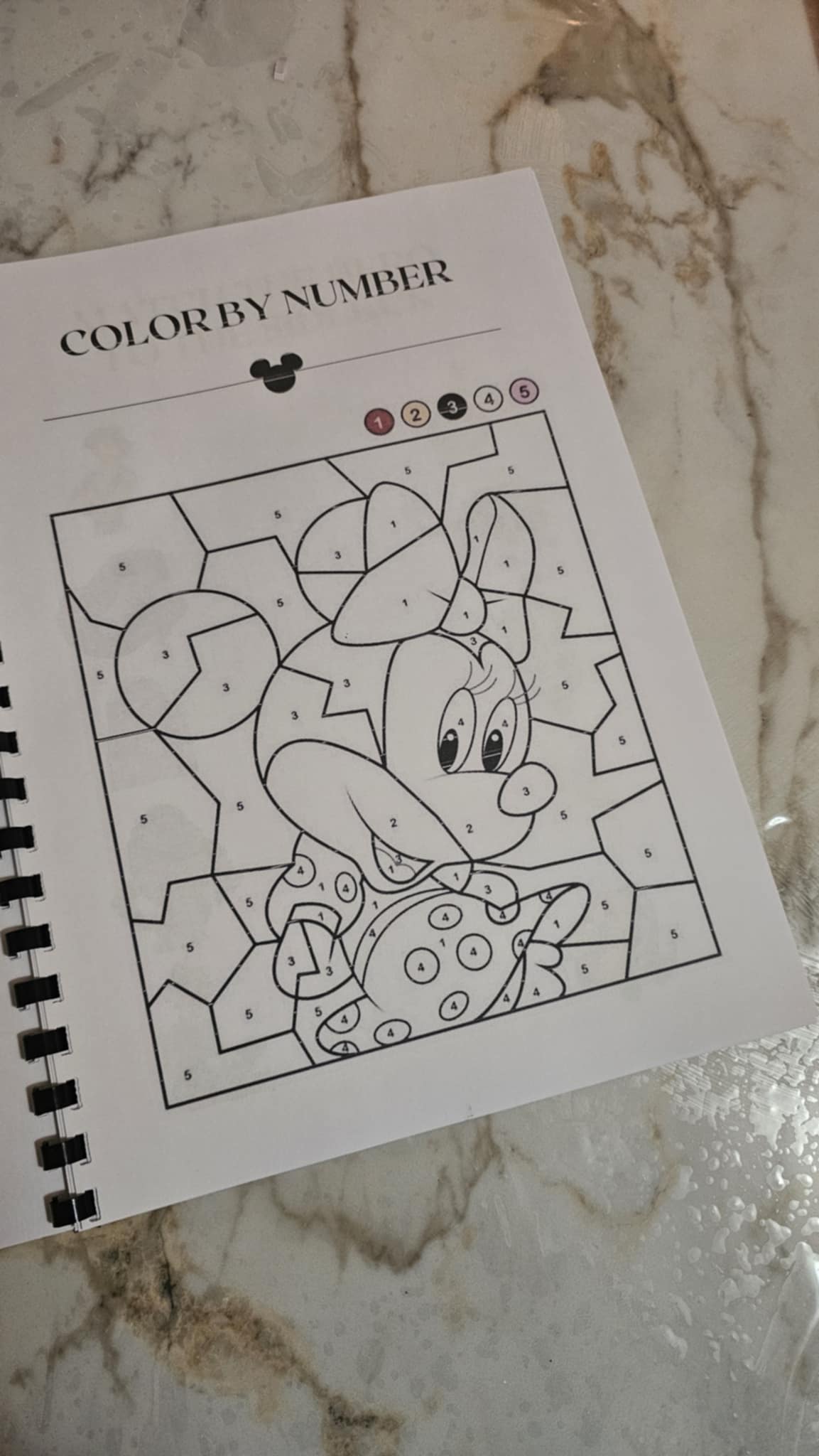 Disney Travel Book