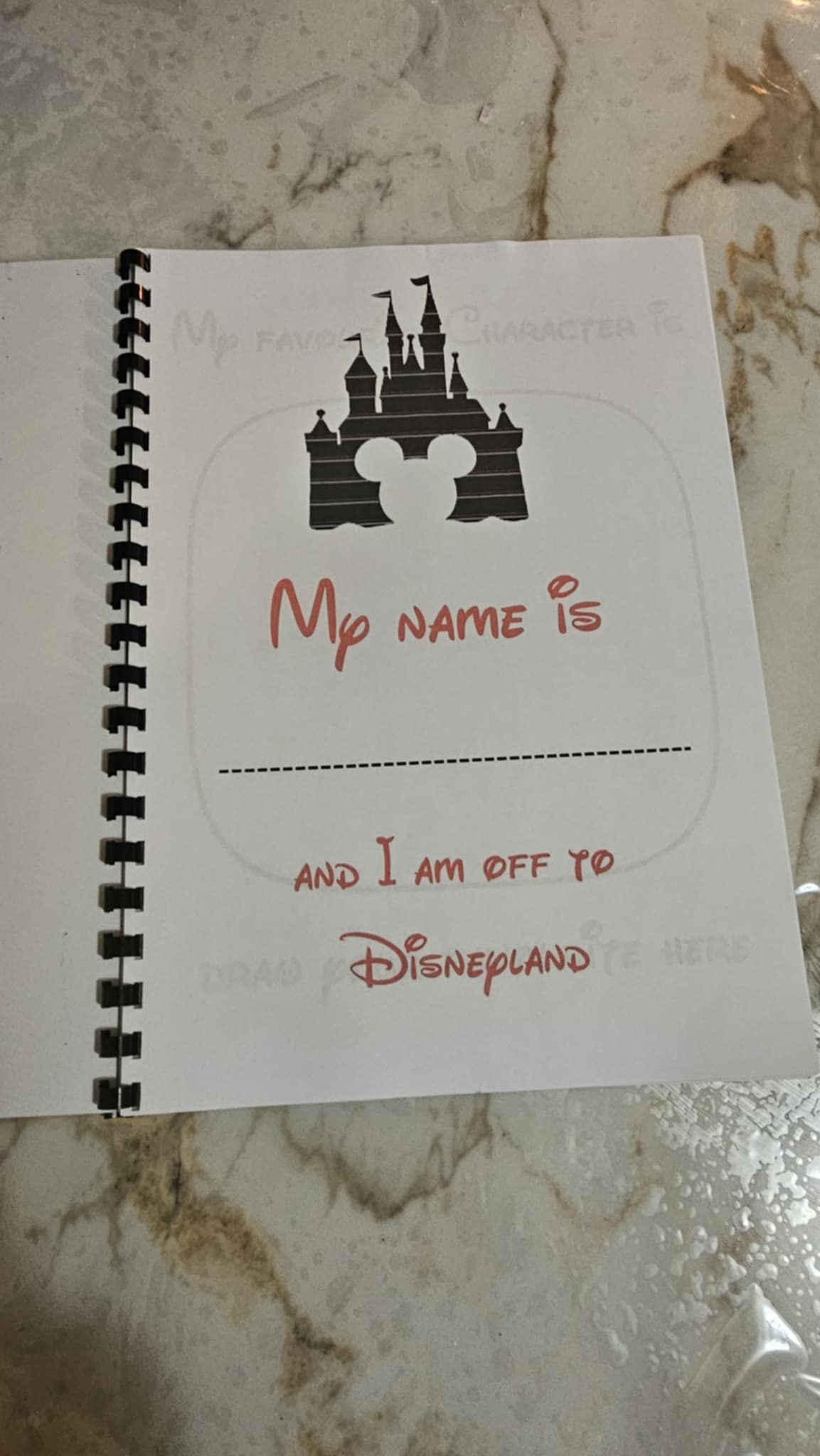 Disney Travel Book