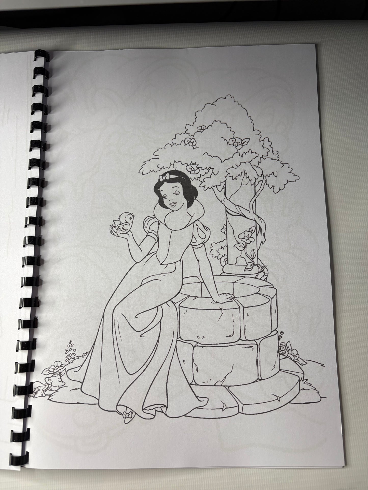 Snow White Colouring Book