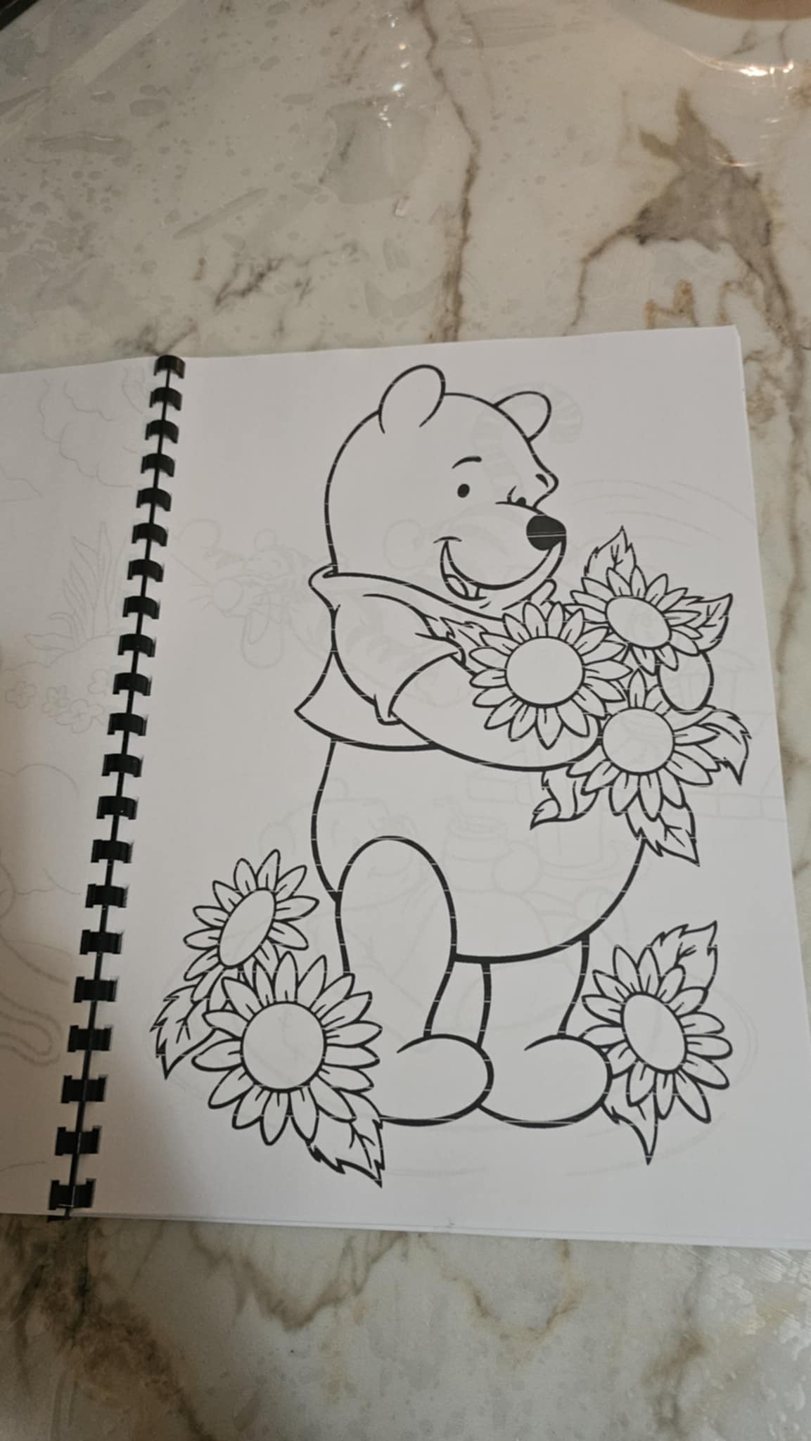 Winnie the Pooh Colouring Book