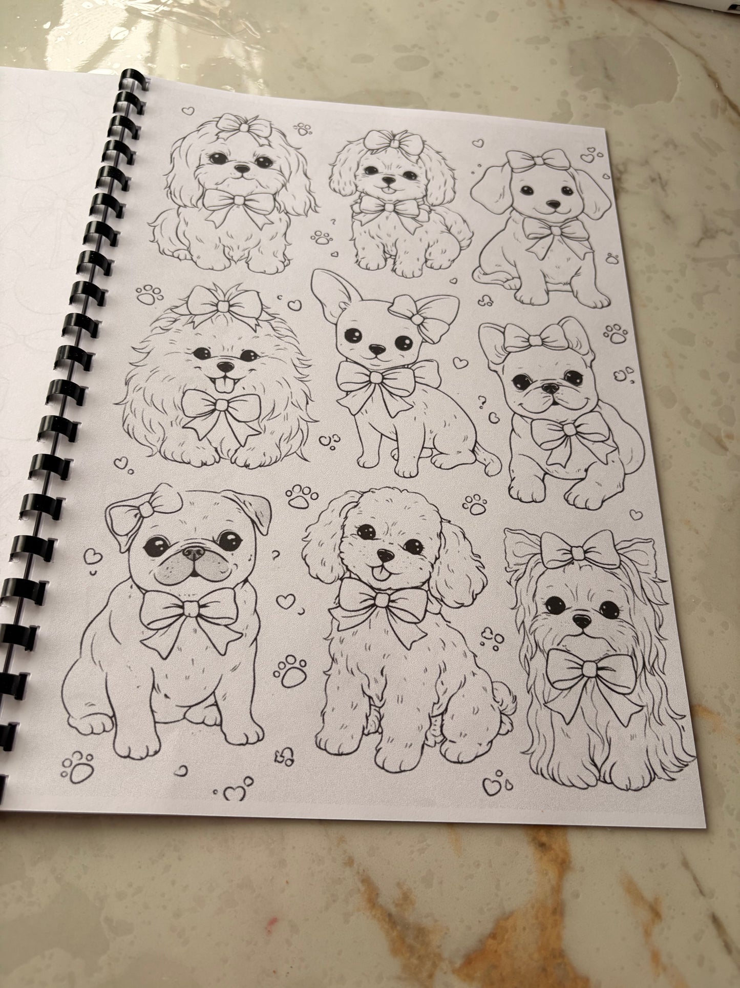 Bows & Coquette Colouring Book