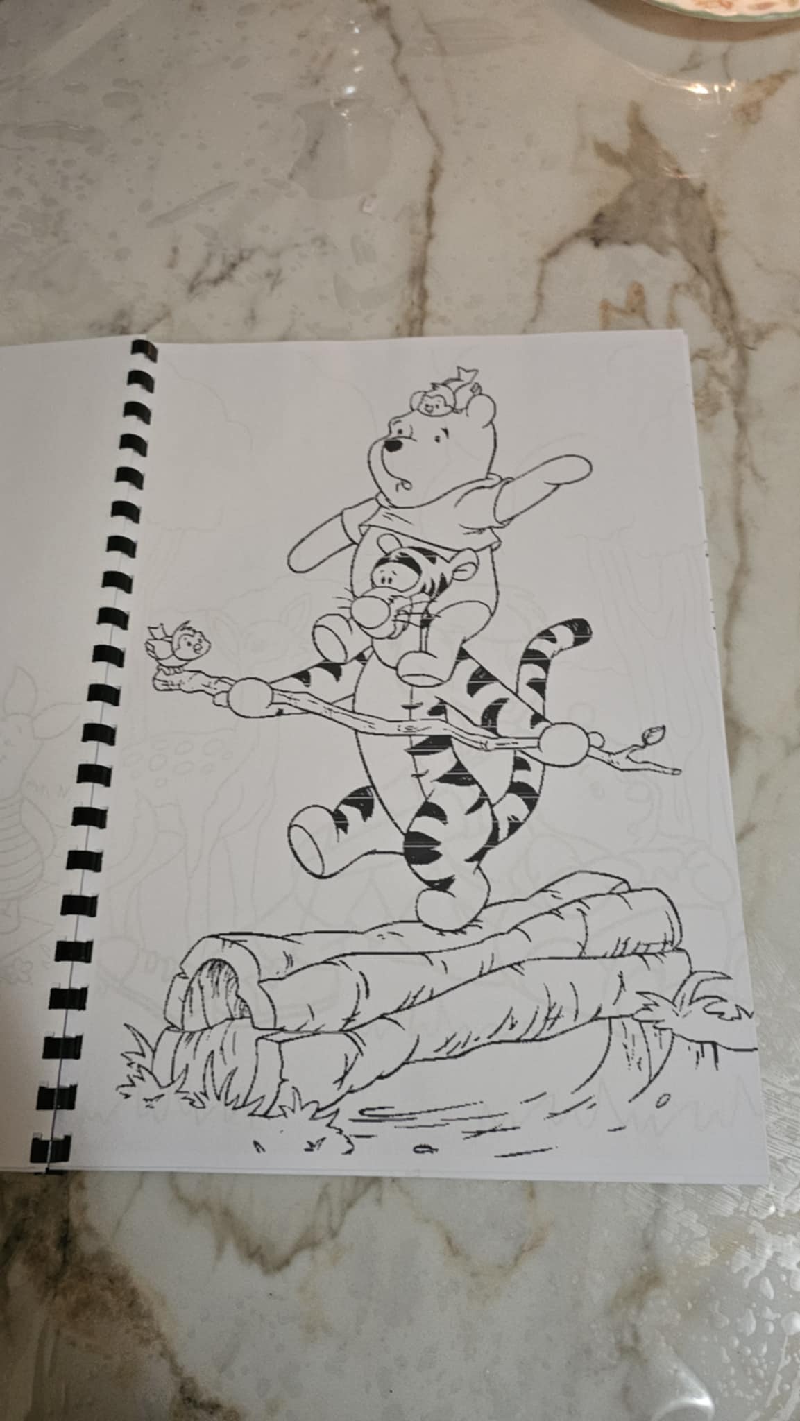 Winnie the Pooh Colouring Book