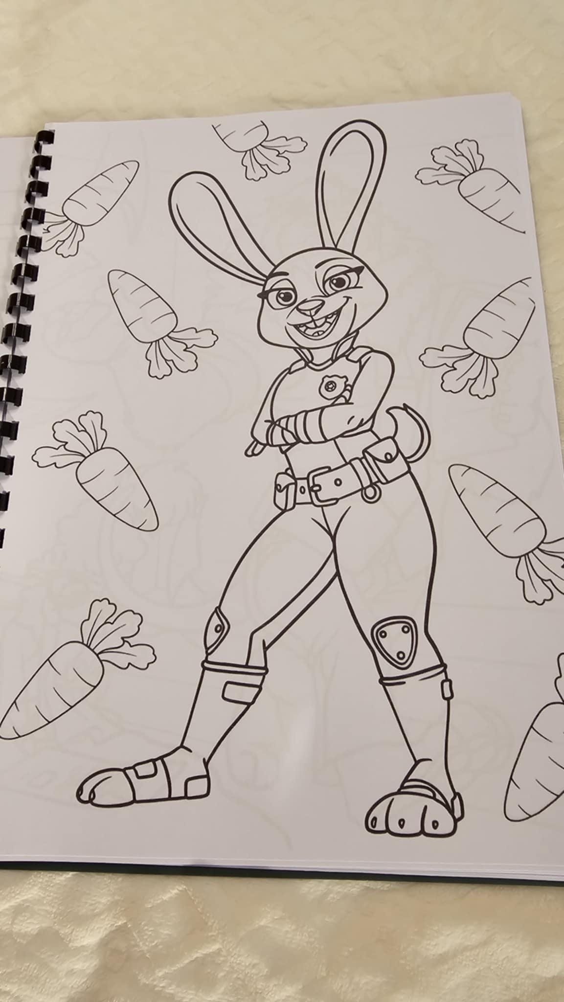 Zootopia Colouring Book