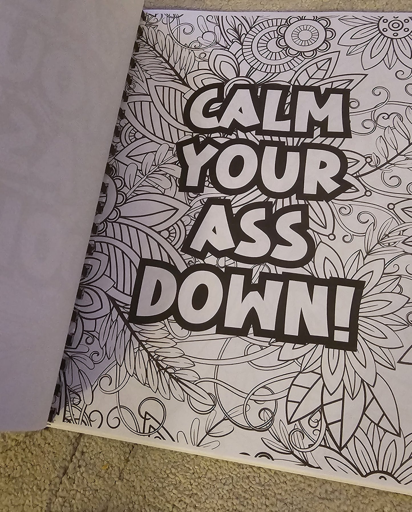 Swearing Colouring Book