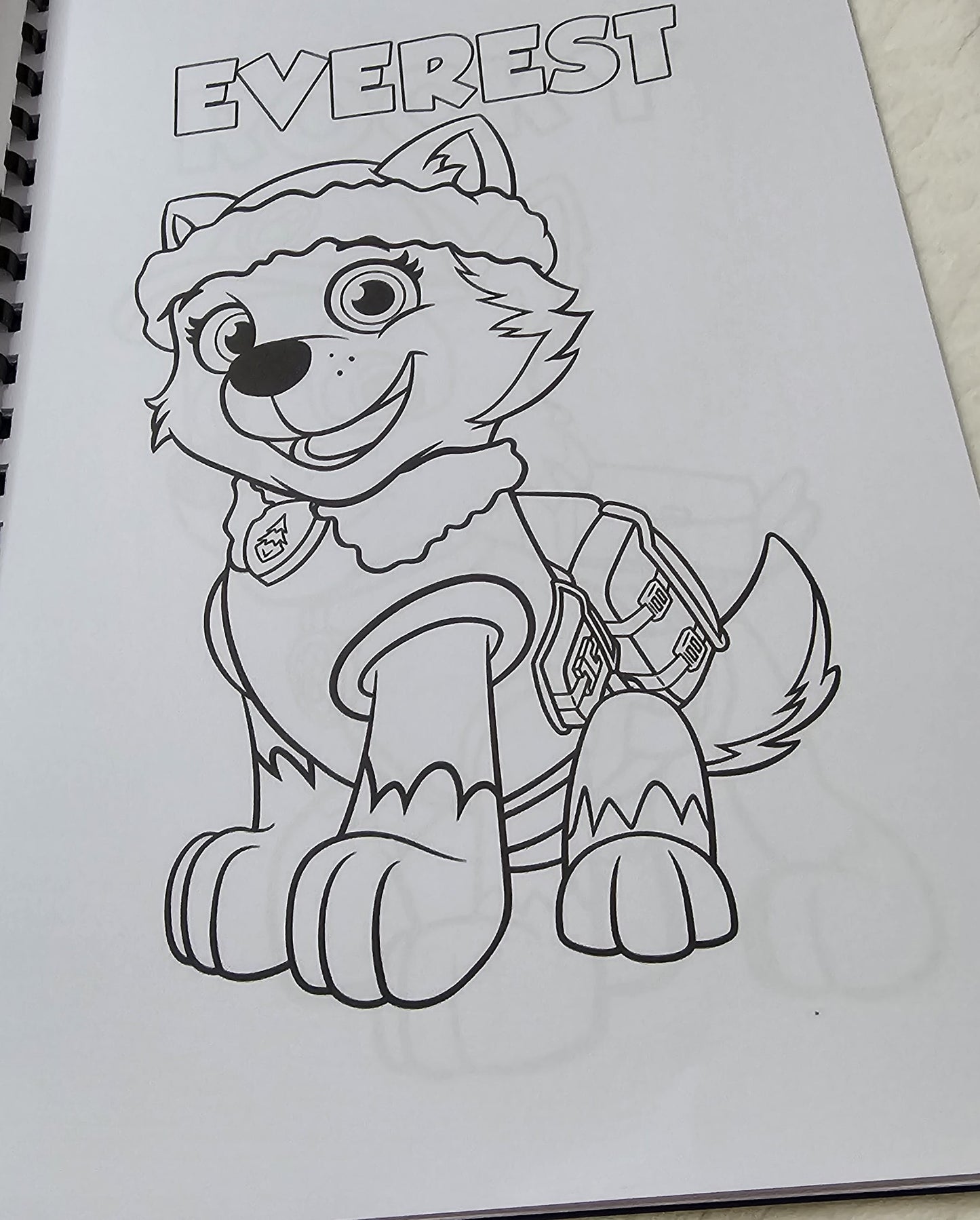 Paw Patrol Colouring Book