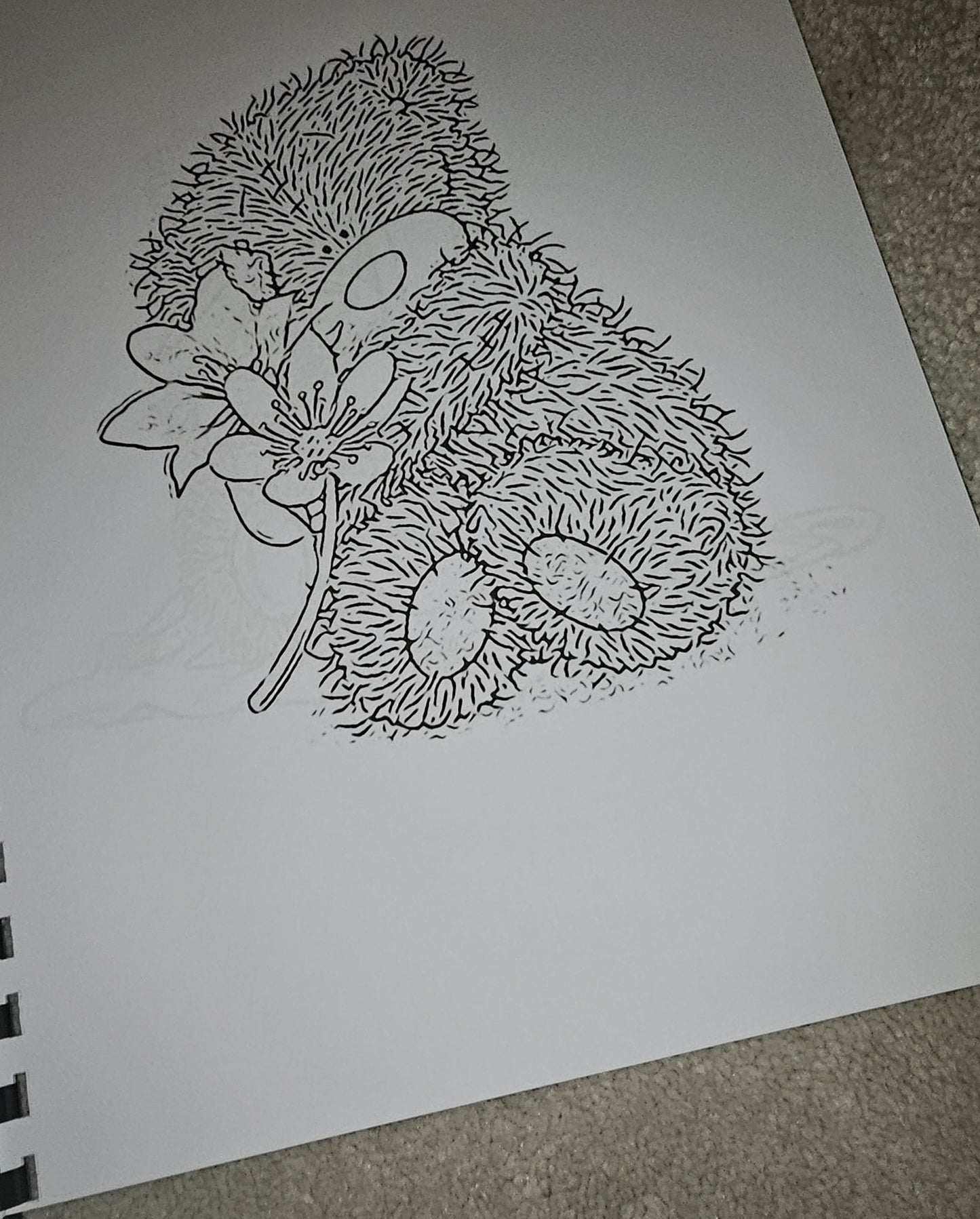 Tatty Teddy Colouring Book