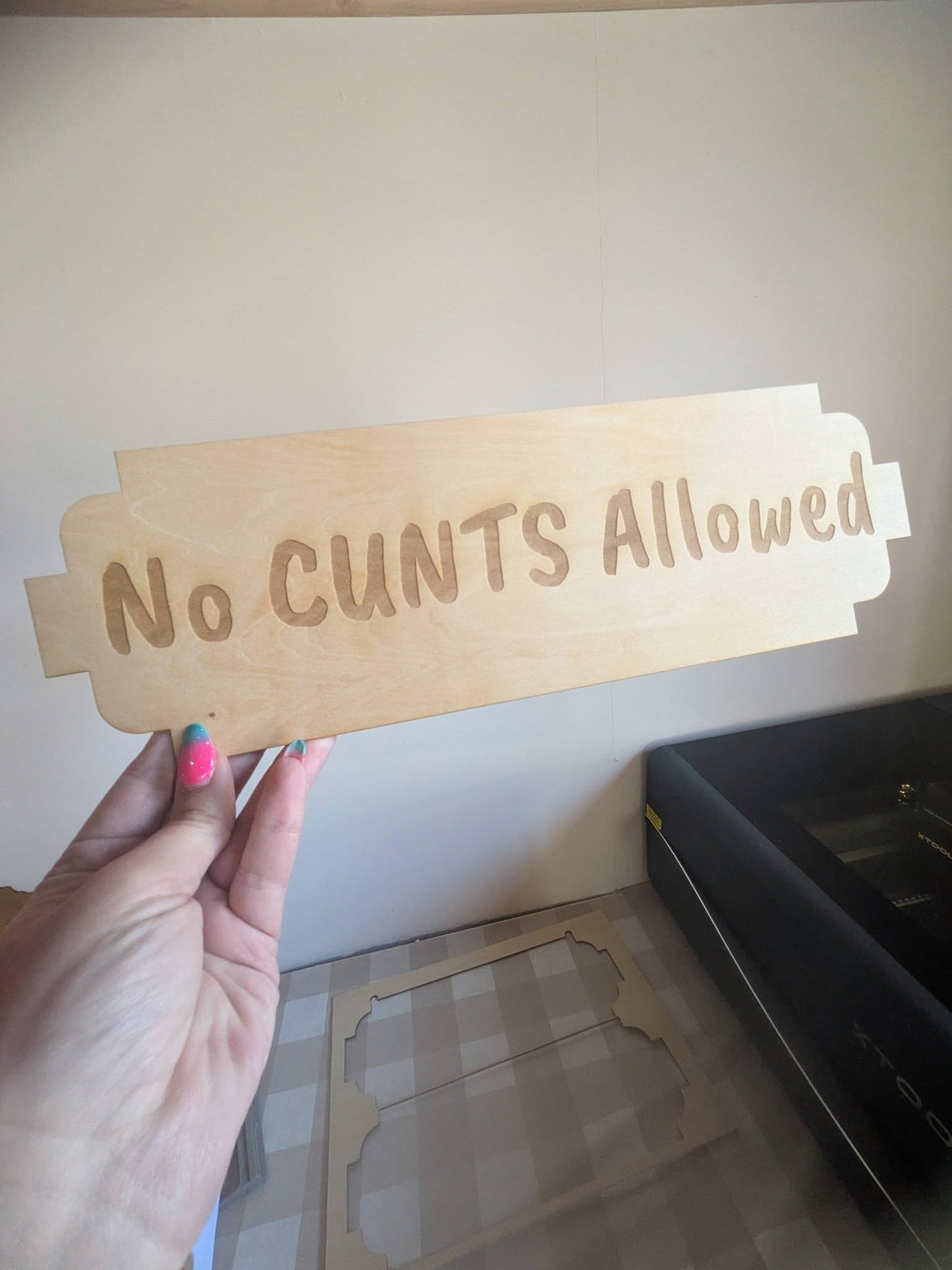 Personalised Funny Wooden Sign