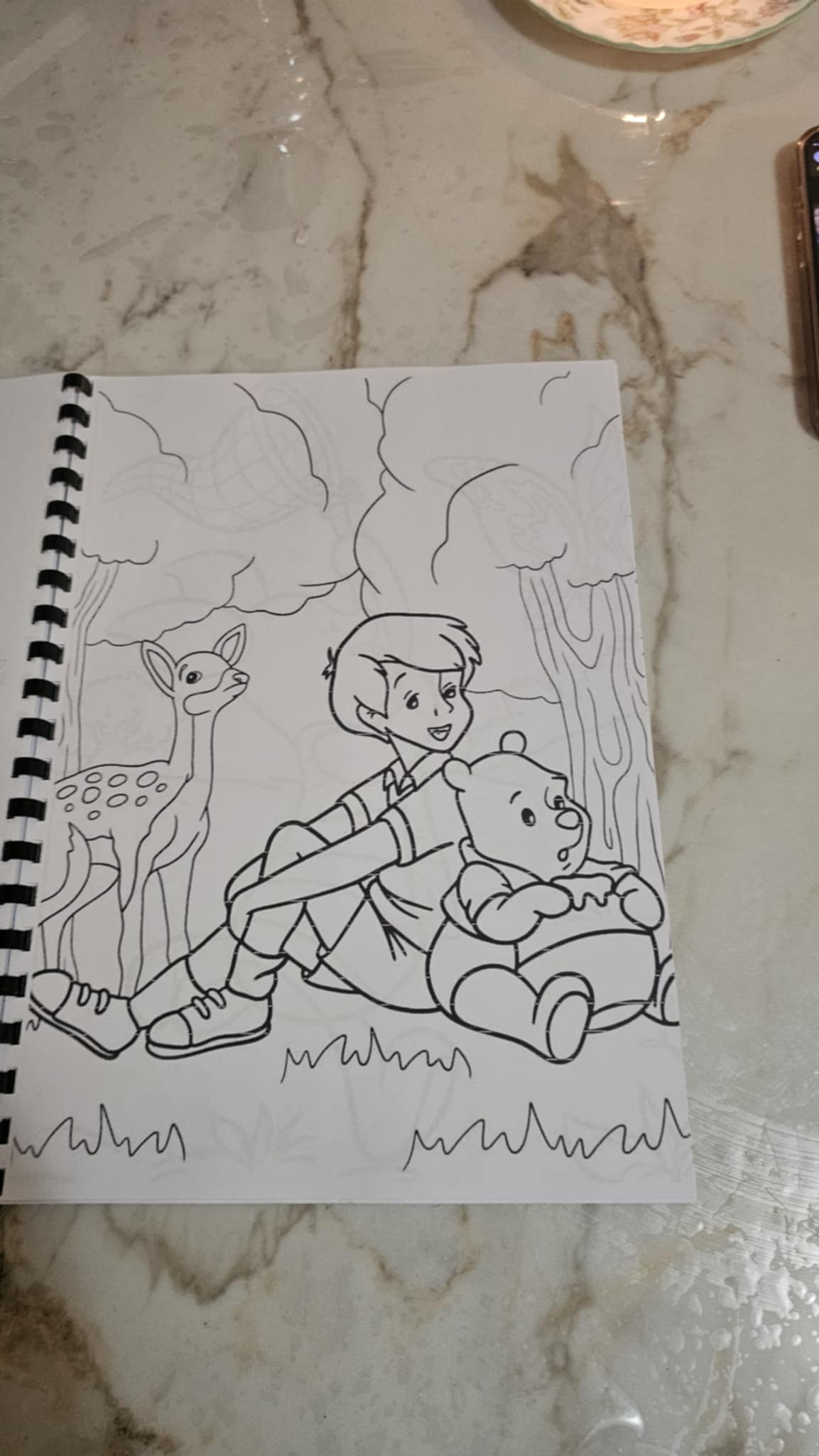 Winnie the Pooh Colouring Book