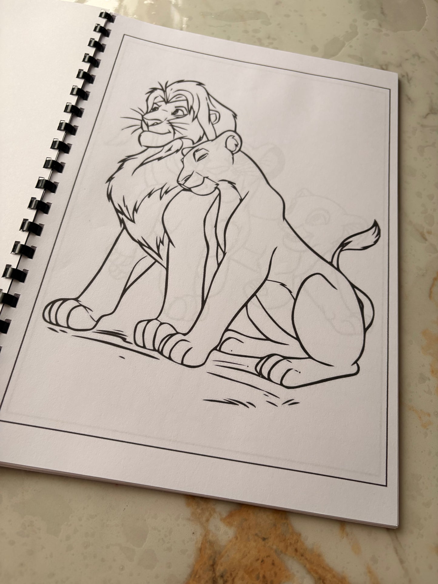 Lion King Colouring Book