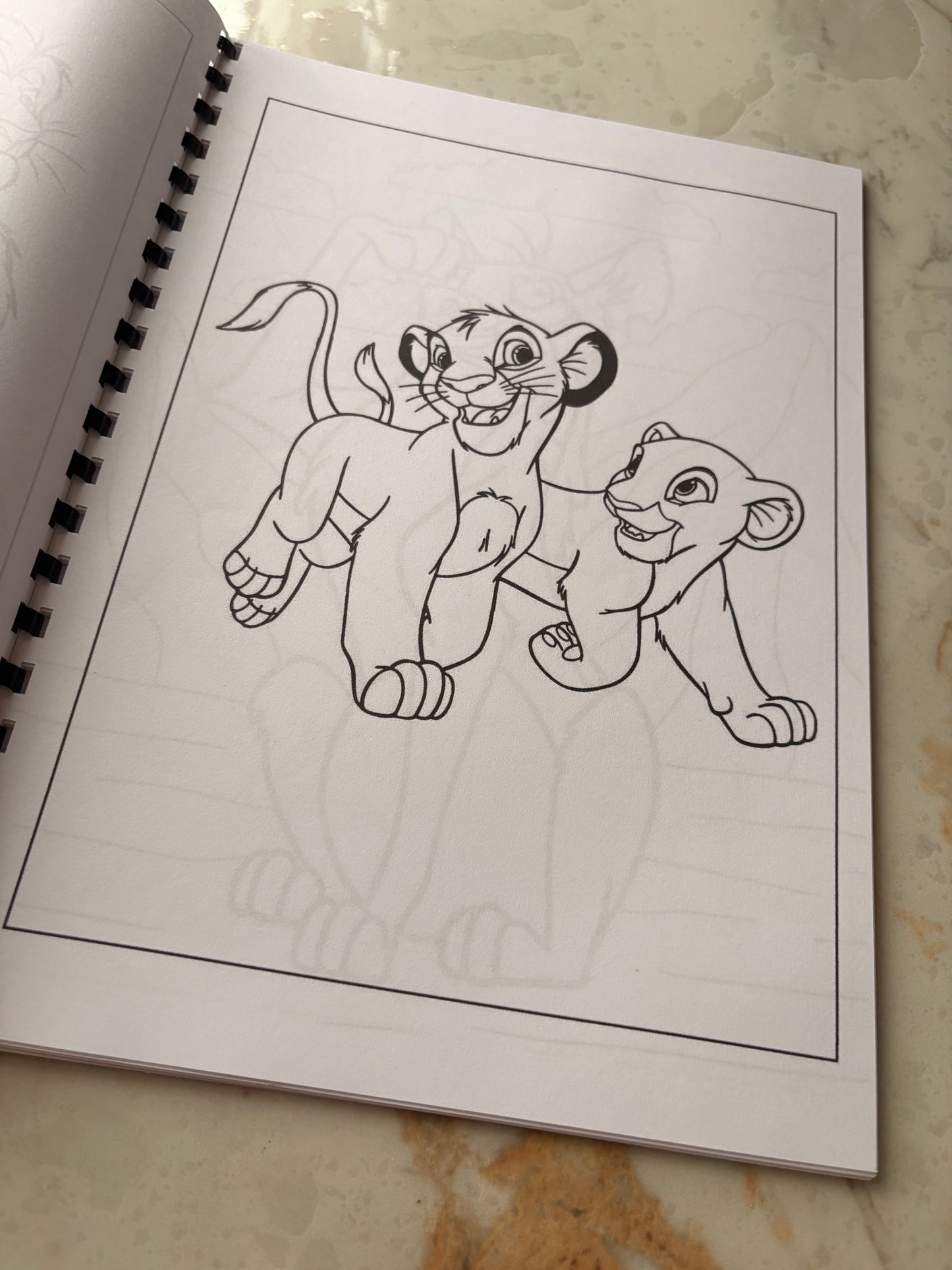 Lion King Colouring Book