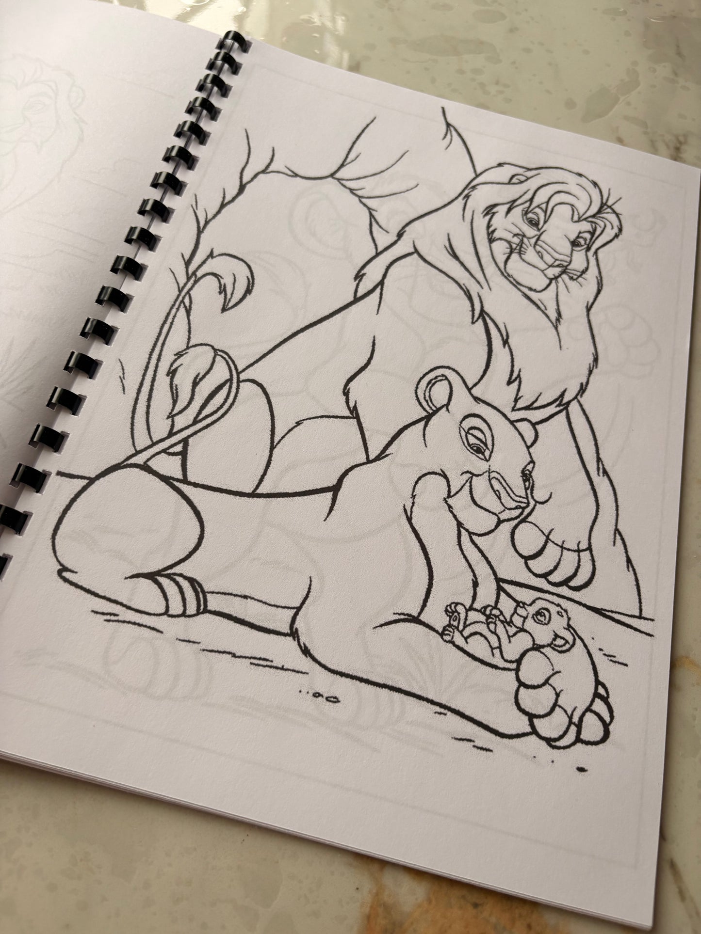Lion King Colouring Book
