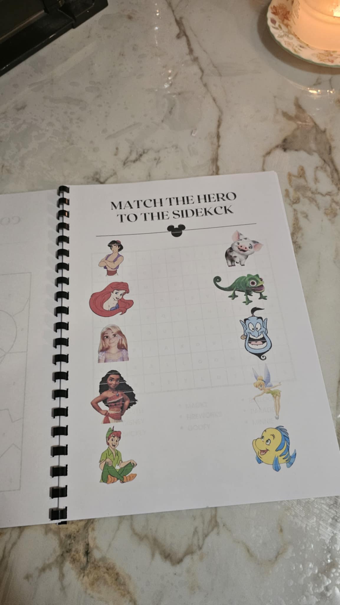 Disney Travel Book
