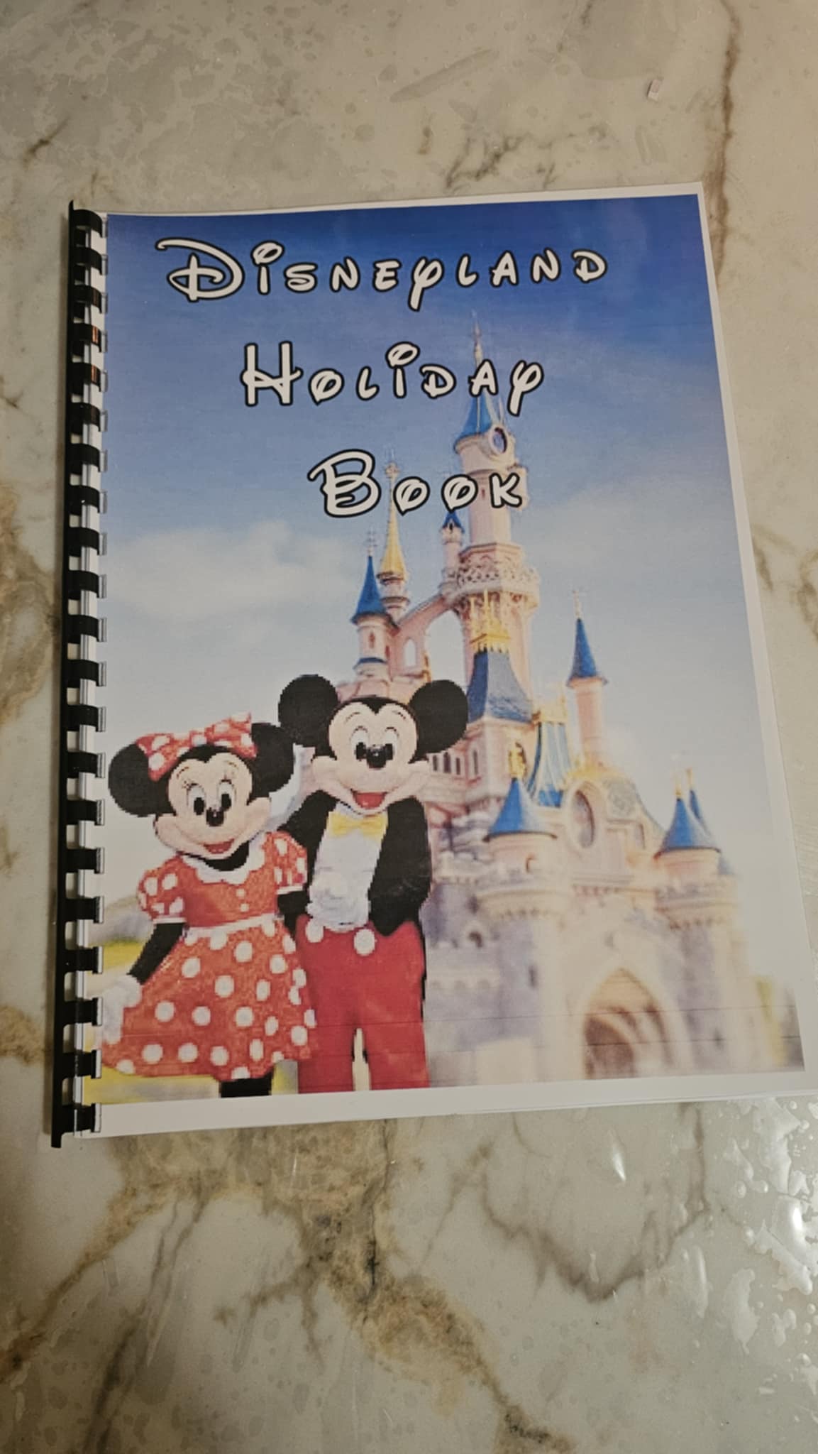 Disney Travel Book