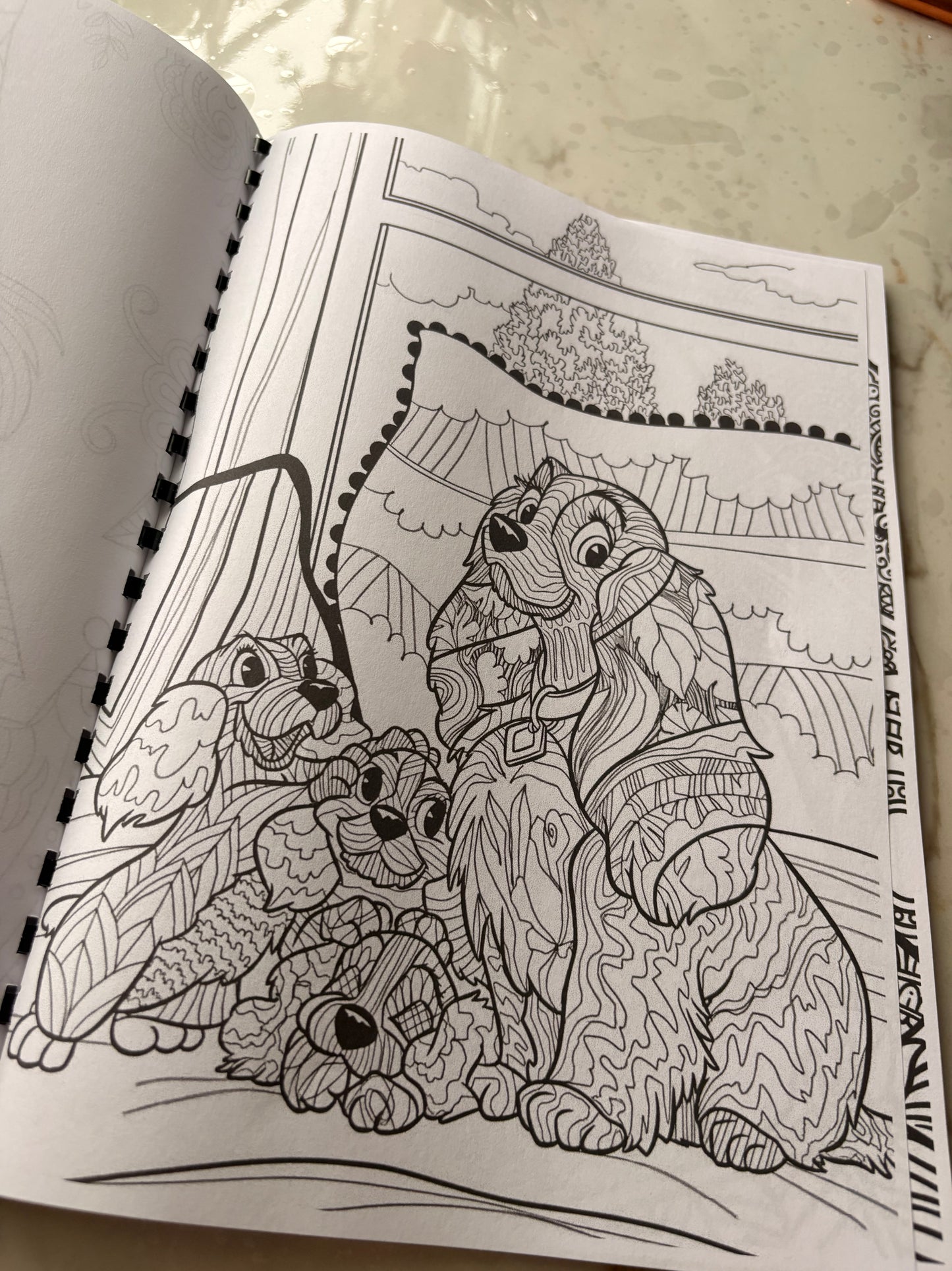 Disney Mandala Colouring Book