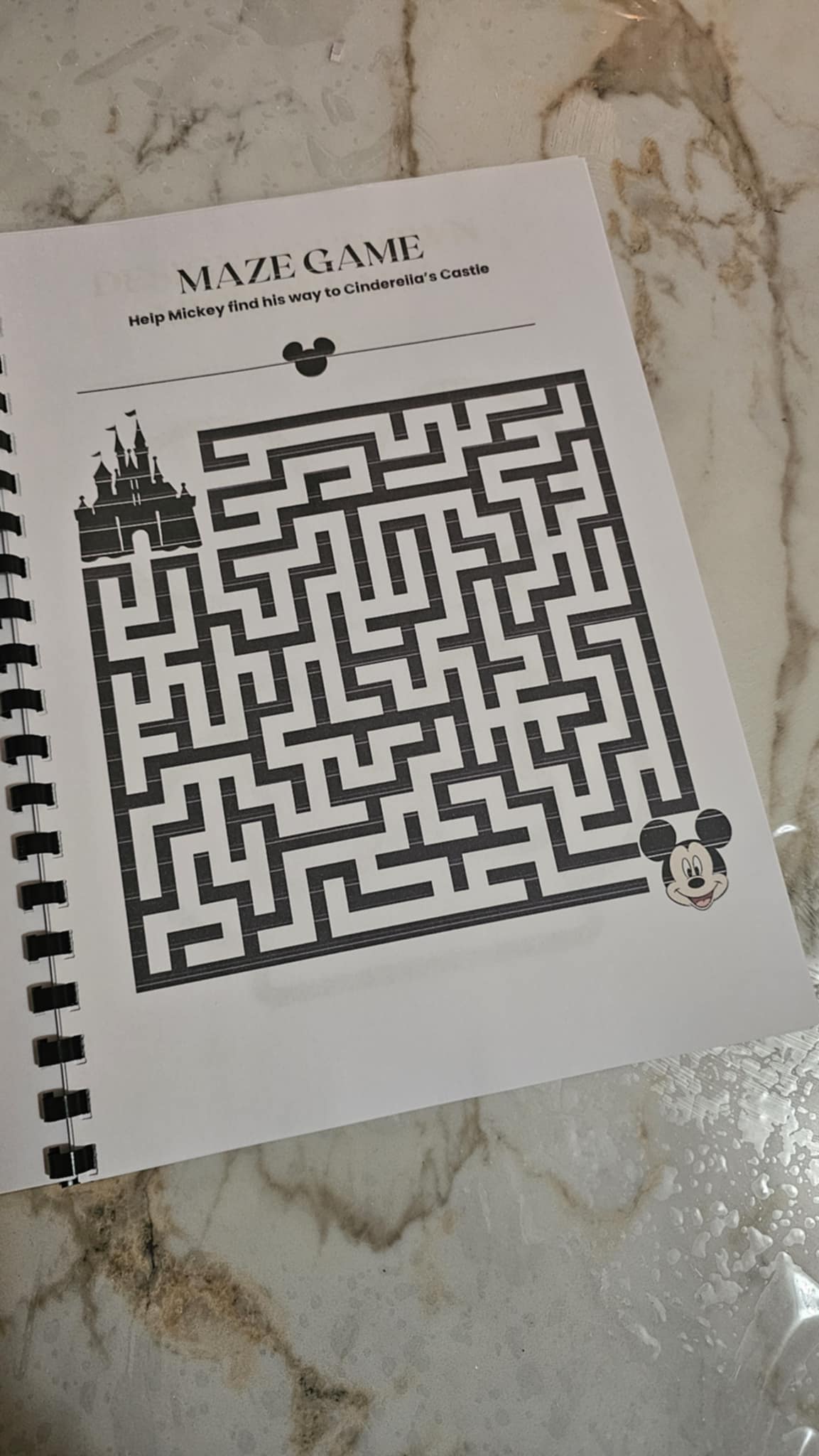 Disney Travel Book