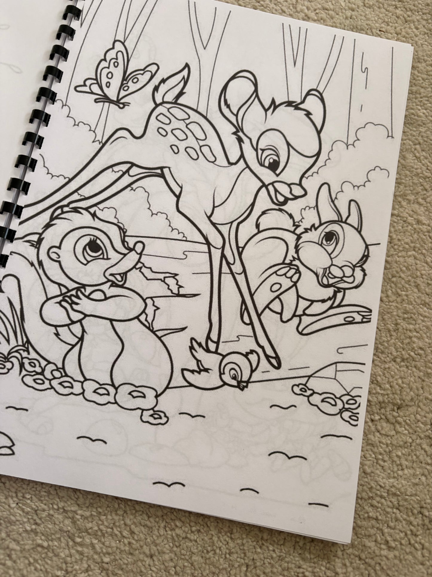 Disney-Inspired Animal Friends Colouring Book