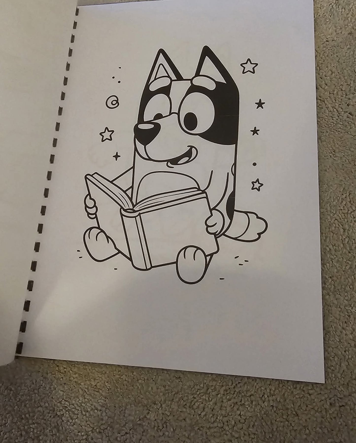 Bluey Colouring Book