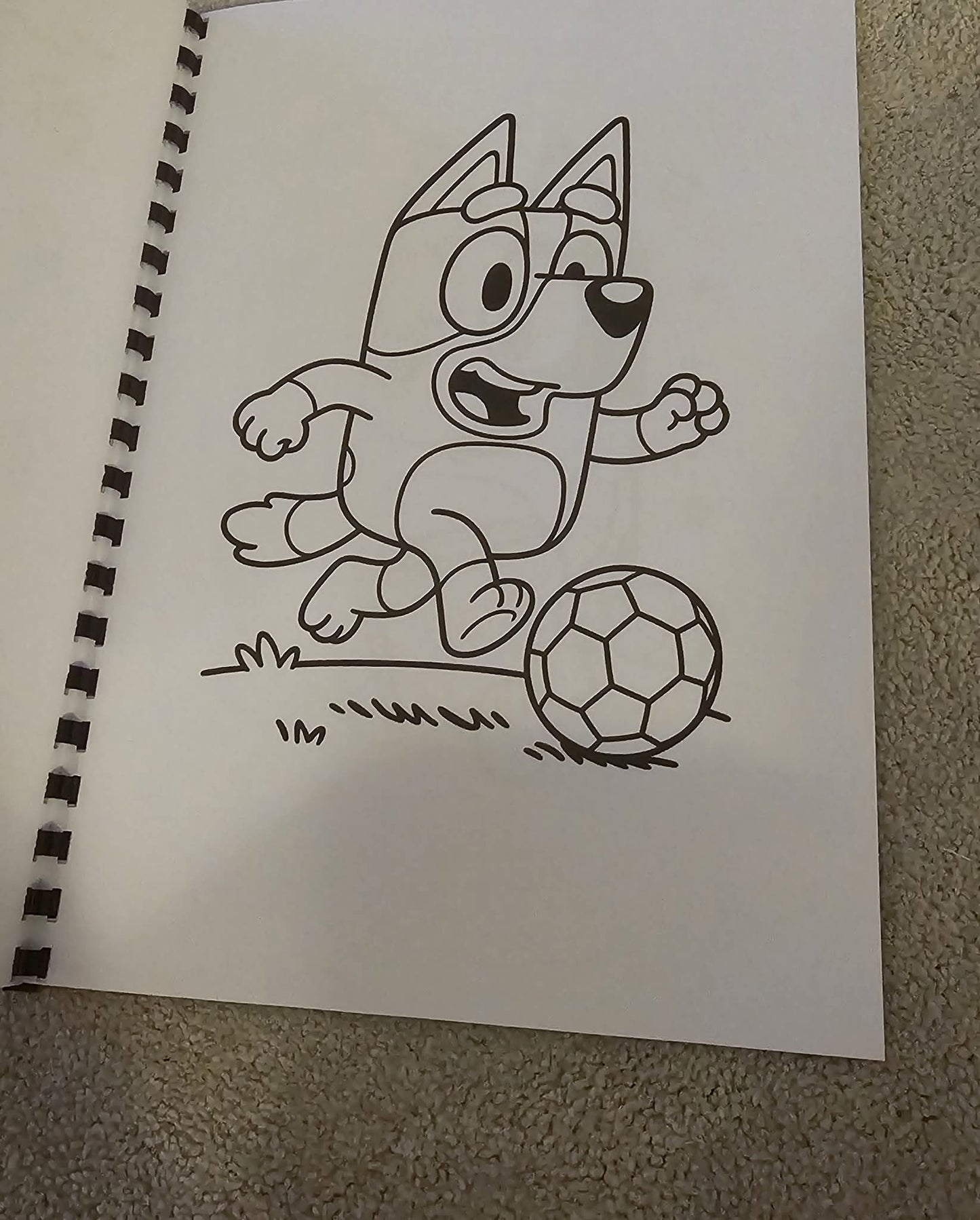 Bluey Colouring Book