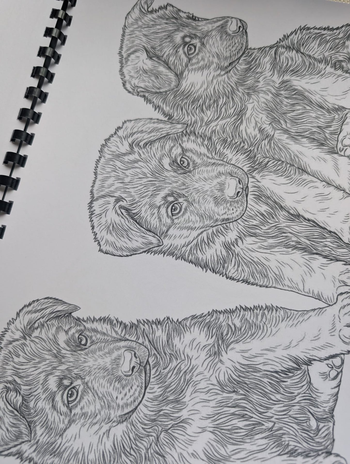 German Shepherd Colouring Book – Loyal & Majestic Dog Breed Colouring Book | 20+ Beautiful German Shepherd Colouring Pages