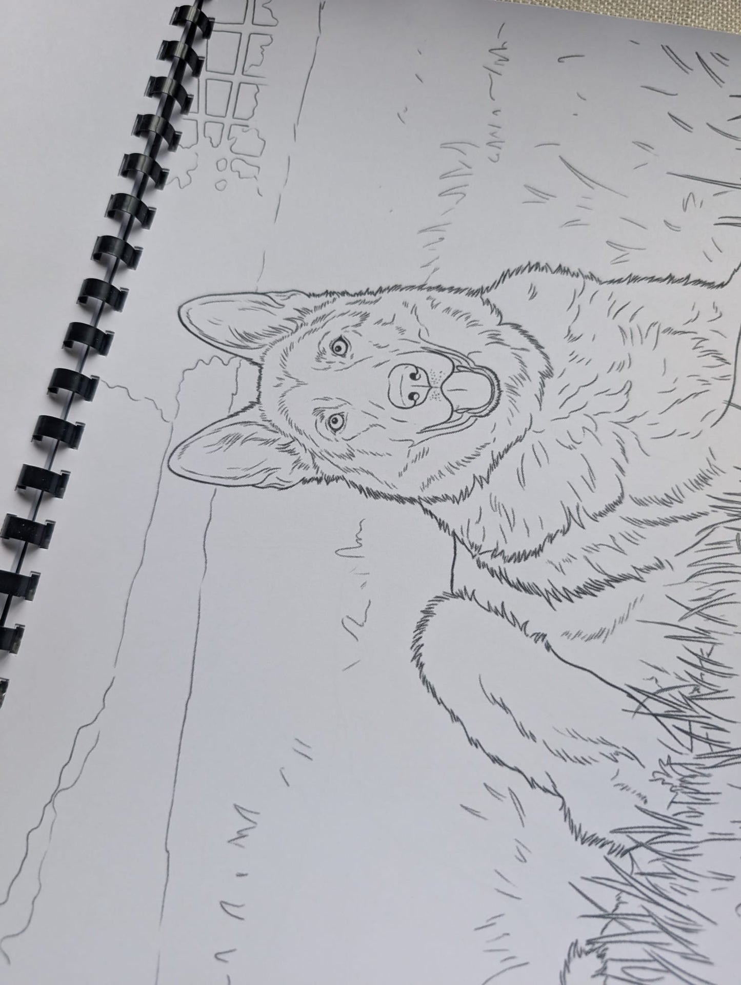 German Shepherd Colouring Book – Loyal & Majestic Dog Breed Colouring Book | 20+ Beautiful German Shepherd Colouring Pages