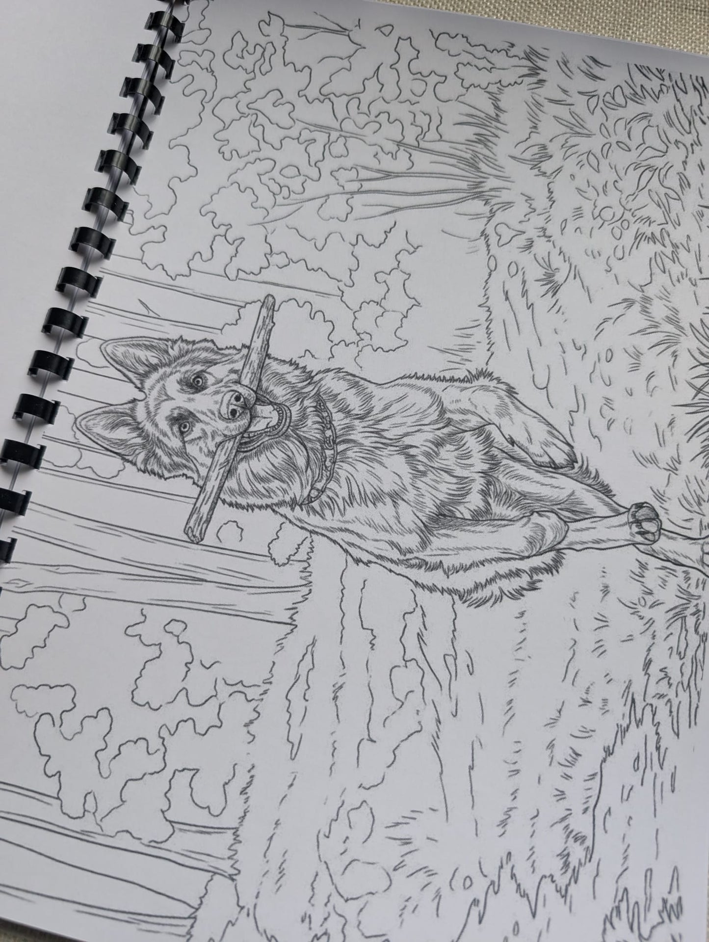 German Shepherd Colouring Book – Loyal & Majestic Dog Breed Colouring Book | 20+ Beautiful German Shepherd Colouring Pages