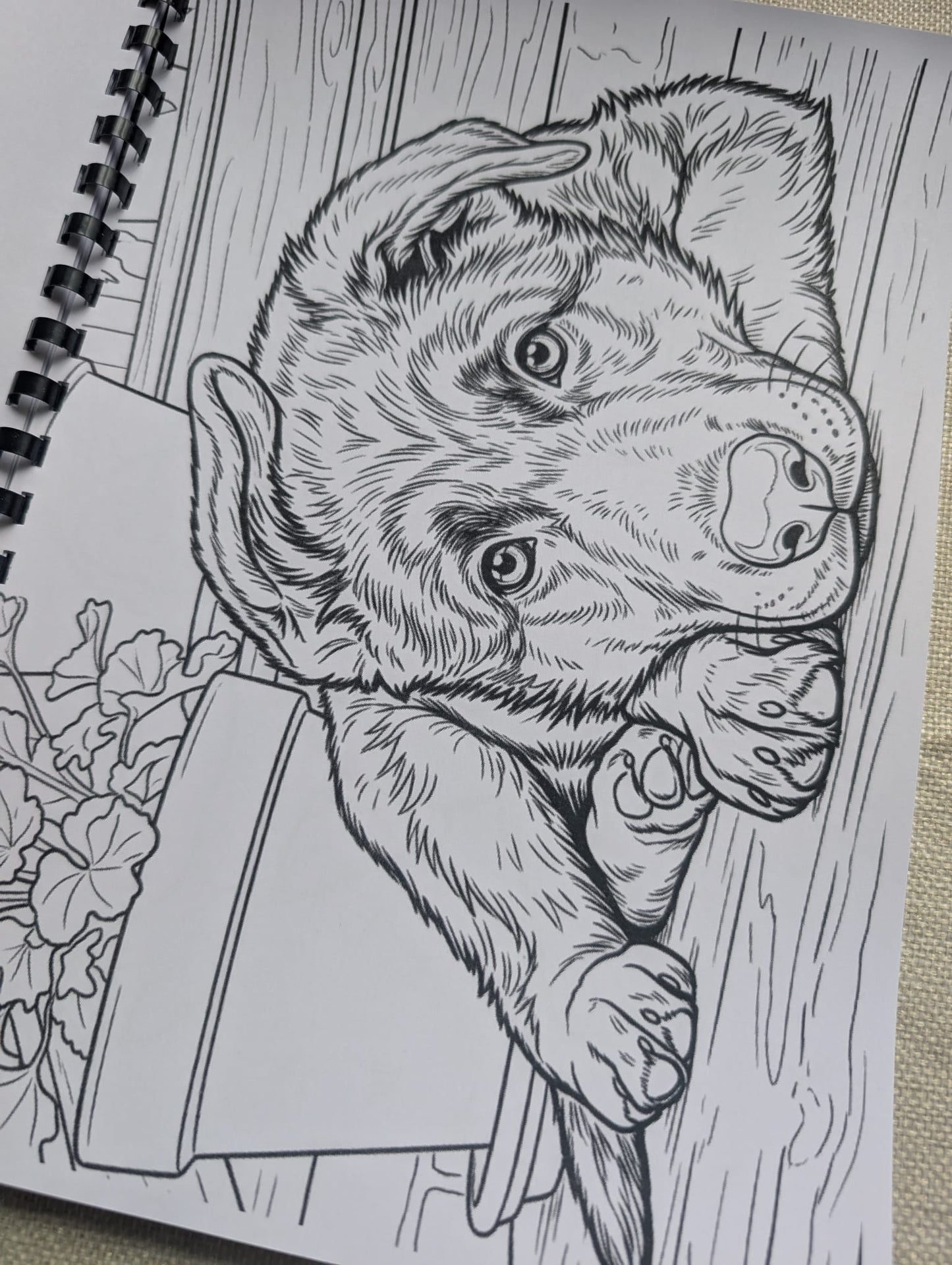 German Shepherd Colouring Book – Loyal & Majestic Dog Breed Colouring Book | 20+ Beautiful German Shepherd Colouring Pages