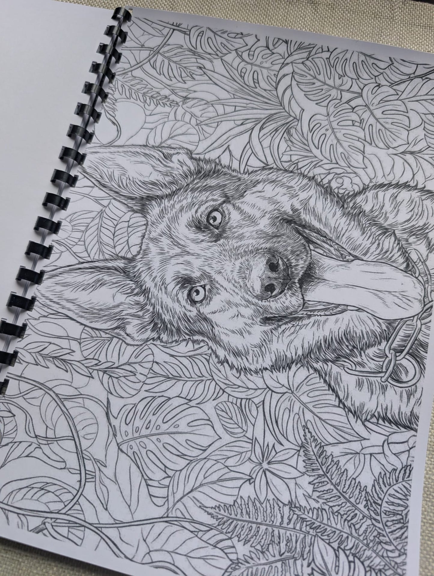 German Shepherd Colouring Book – Loyal & Majestic Dog Breed Colouring Book | 20+ Beautiful German Shepherd Colouring Pages