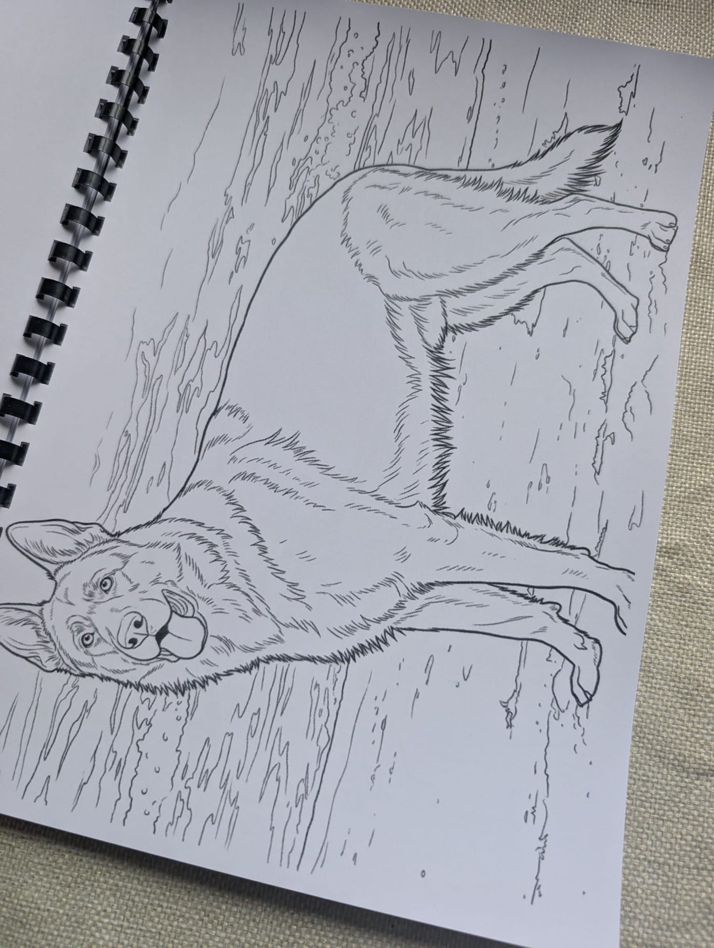 German Shepherd Colouring Book – Loyal & Majestic Dog Breed Colouring Book | 20+ Beautiful German Shepherd Colouring Pages