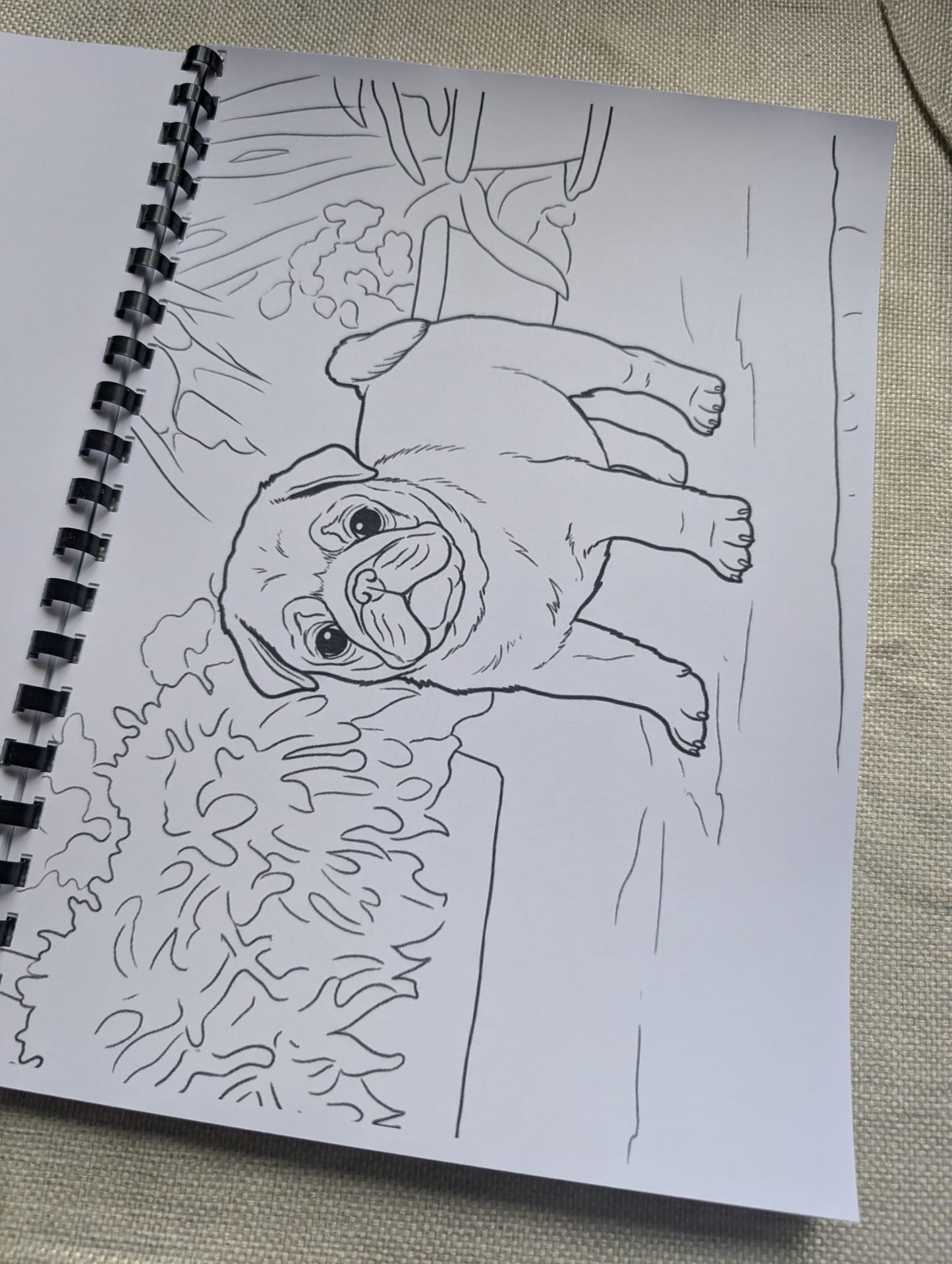 Pugs Colouring Book – Adorable Pug Dog Colouring Book | 20+ Cute & Fun Pug-Themed Colouring Pages