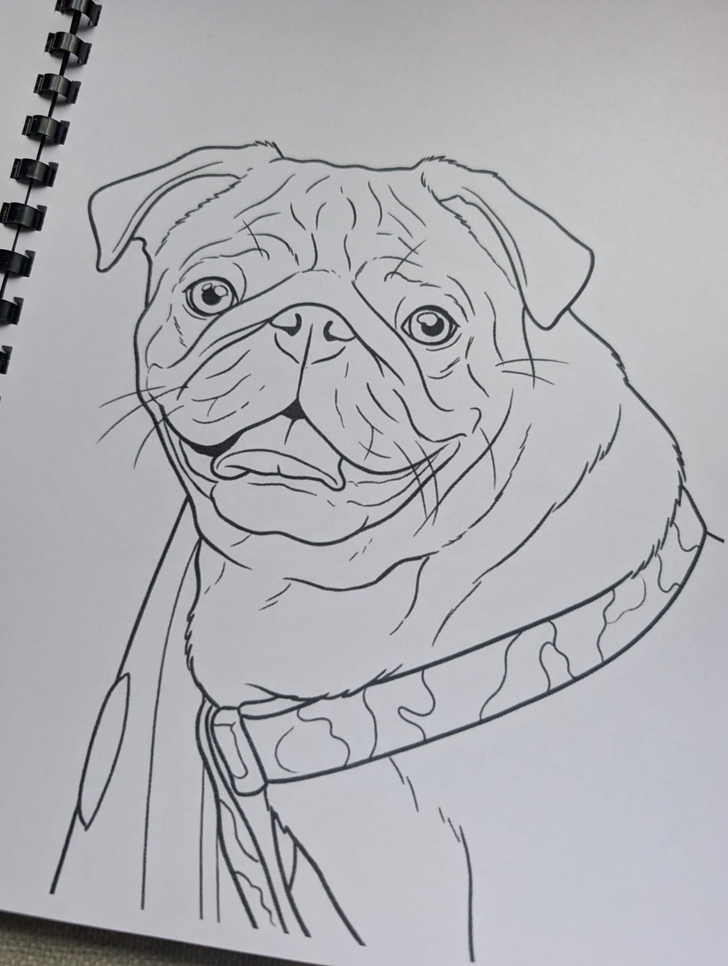 Pugs Colouring Book – Adorable Pug Dog Colouring Book | 20+ Cute & Fun Pug-Themed Colouring Pages
