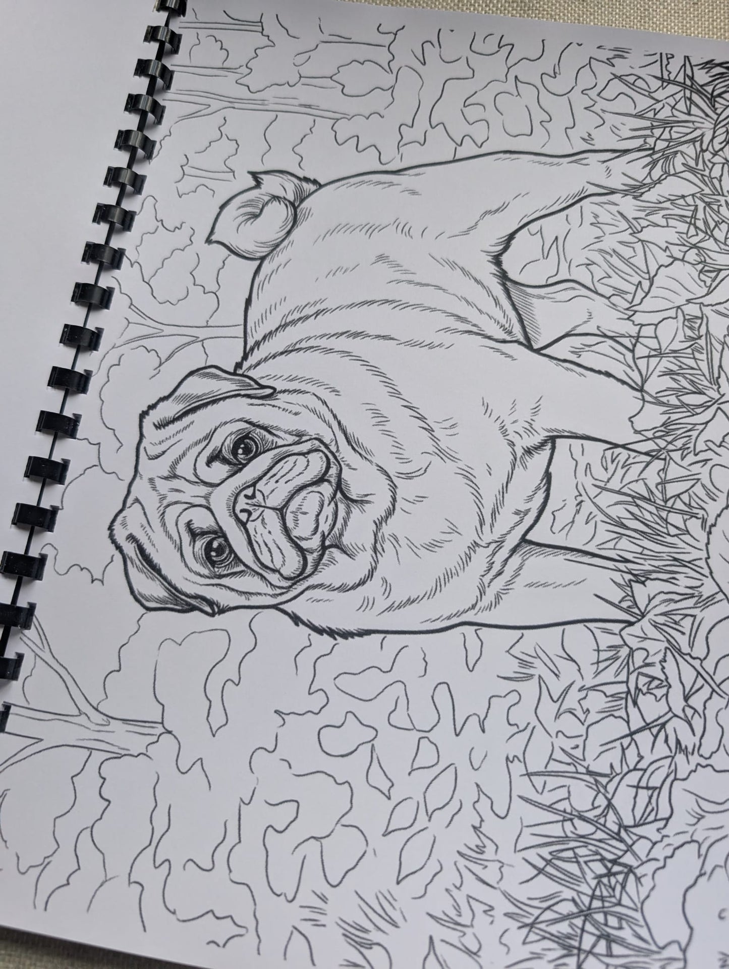 Pugs Colouring Book – Adorable Pug Dog Colouring Book | 20+ Cute & Fun Pug-Themed Colouring Pages