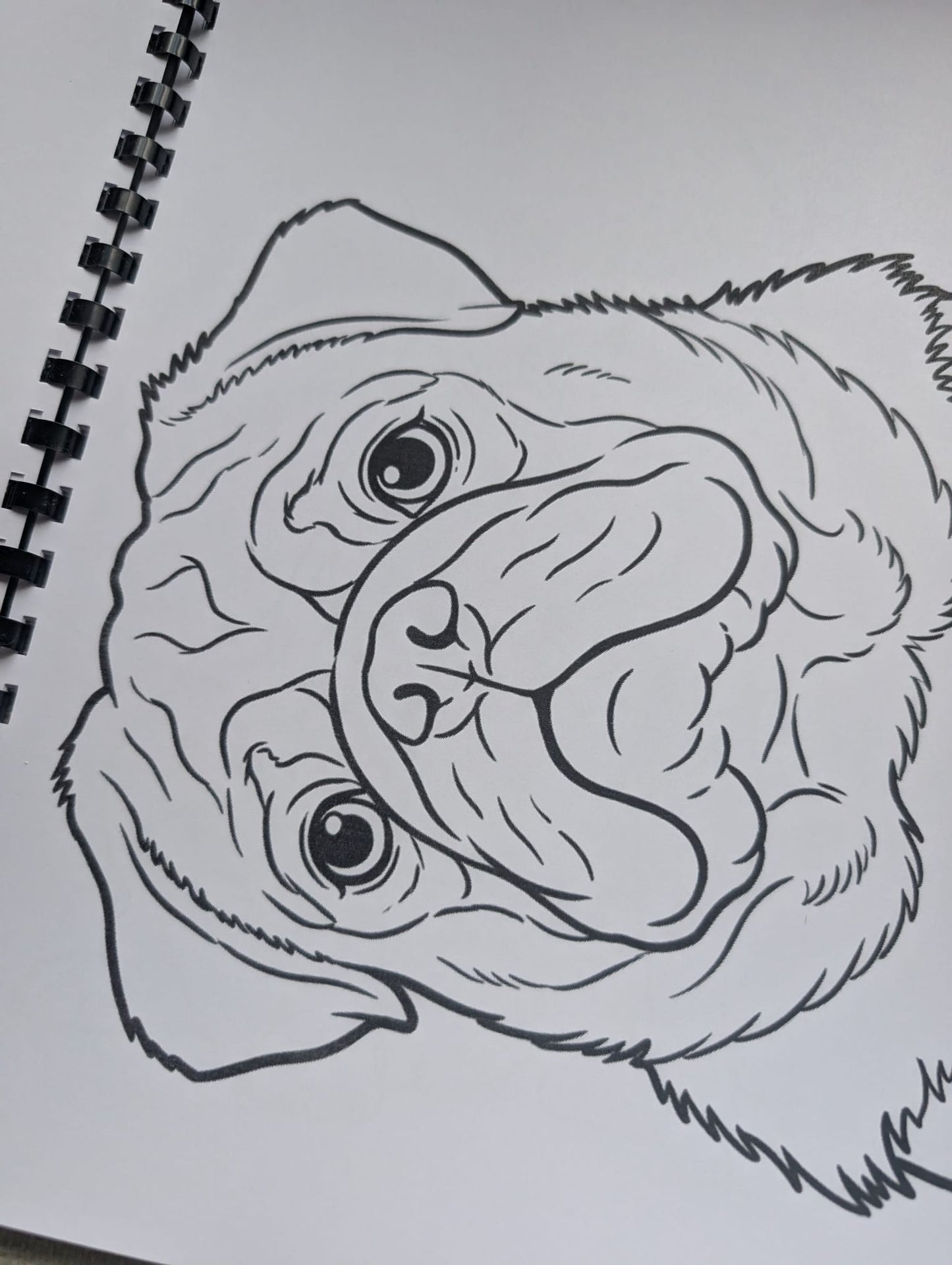 Pugs Colouring Book – Adorable Pug Dog Colouring Book | 20+ Cute & Fun Pug-Themed Colouring Pages