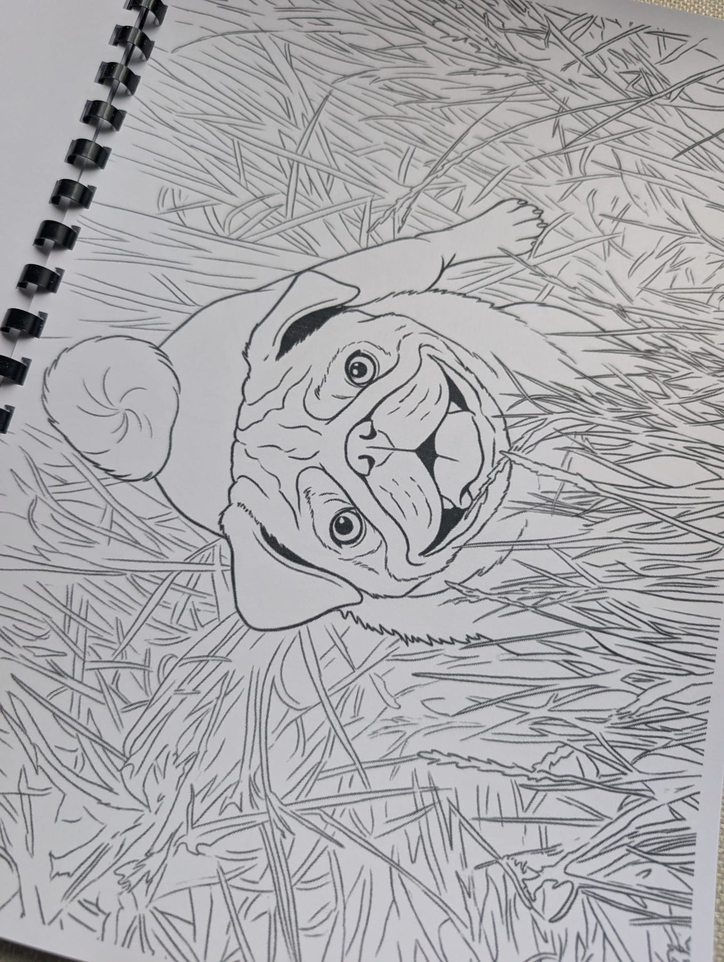 Pugs Colouring Book – Adorable Pug Dog Colouring Book | 20+ Cute & Fun Pug-Themed Colouring Pages