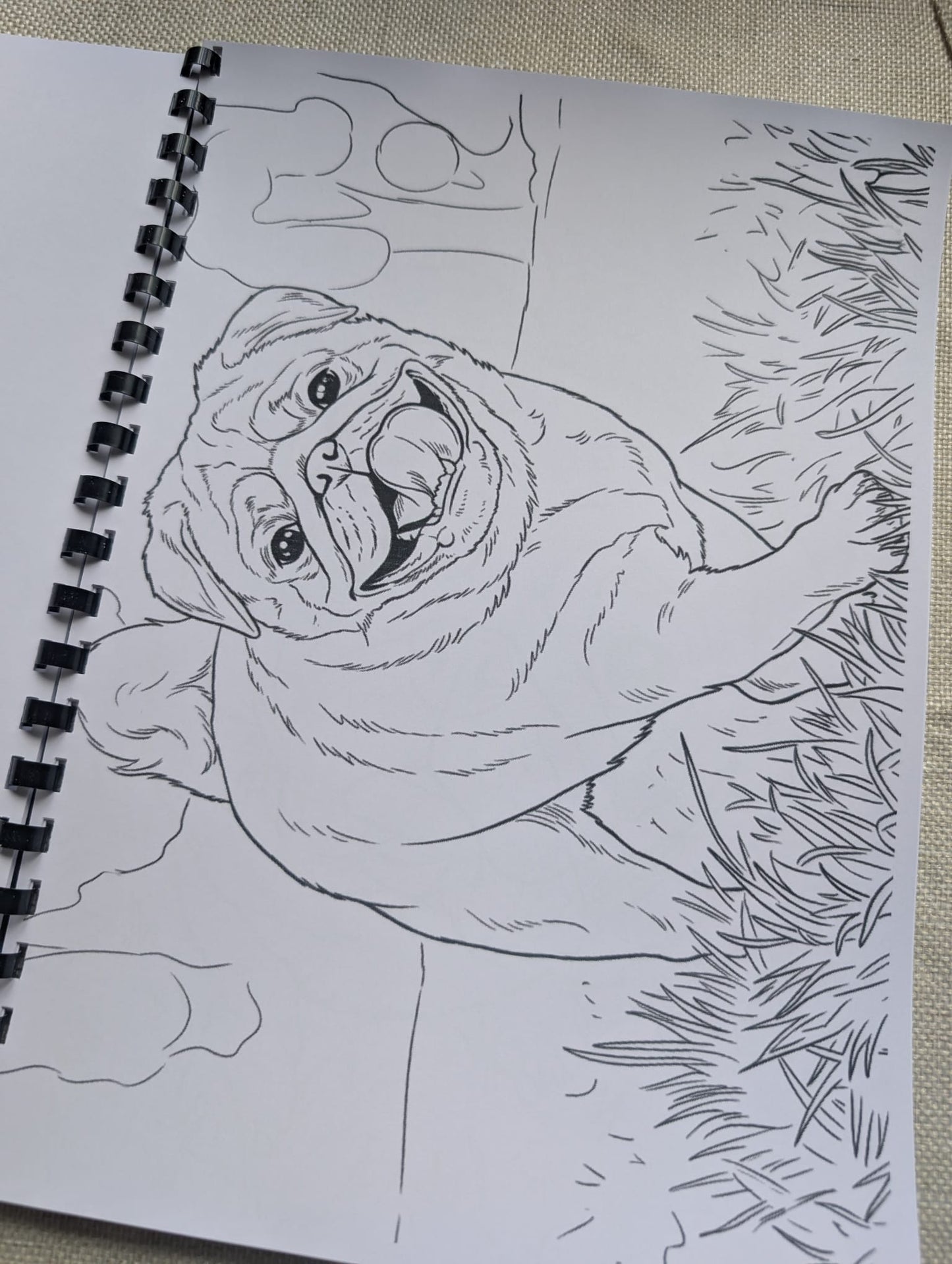 Pugs Colouring Book – Adorable Pug Dog Colouring Book | 20+ Cute & Fun Pug-Themed Colouring Pages