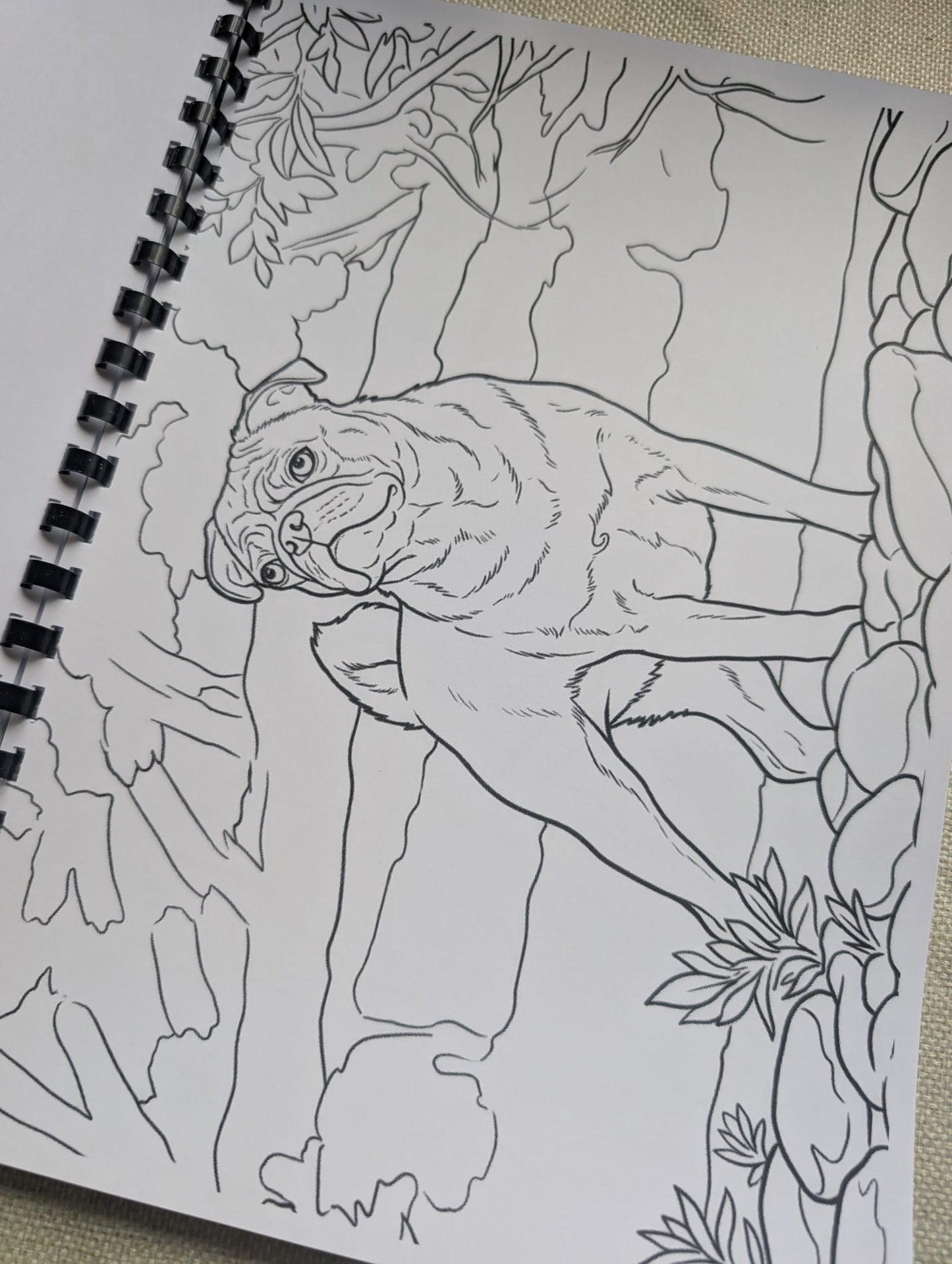 Pugs Colouring Book – Adorable Pug Dog Colouring Book | 20+ Cute & Fun Pug-Themed Colouring Pages