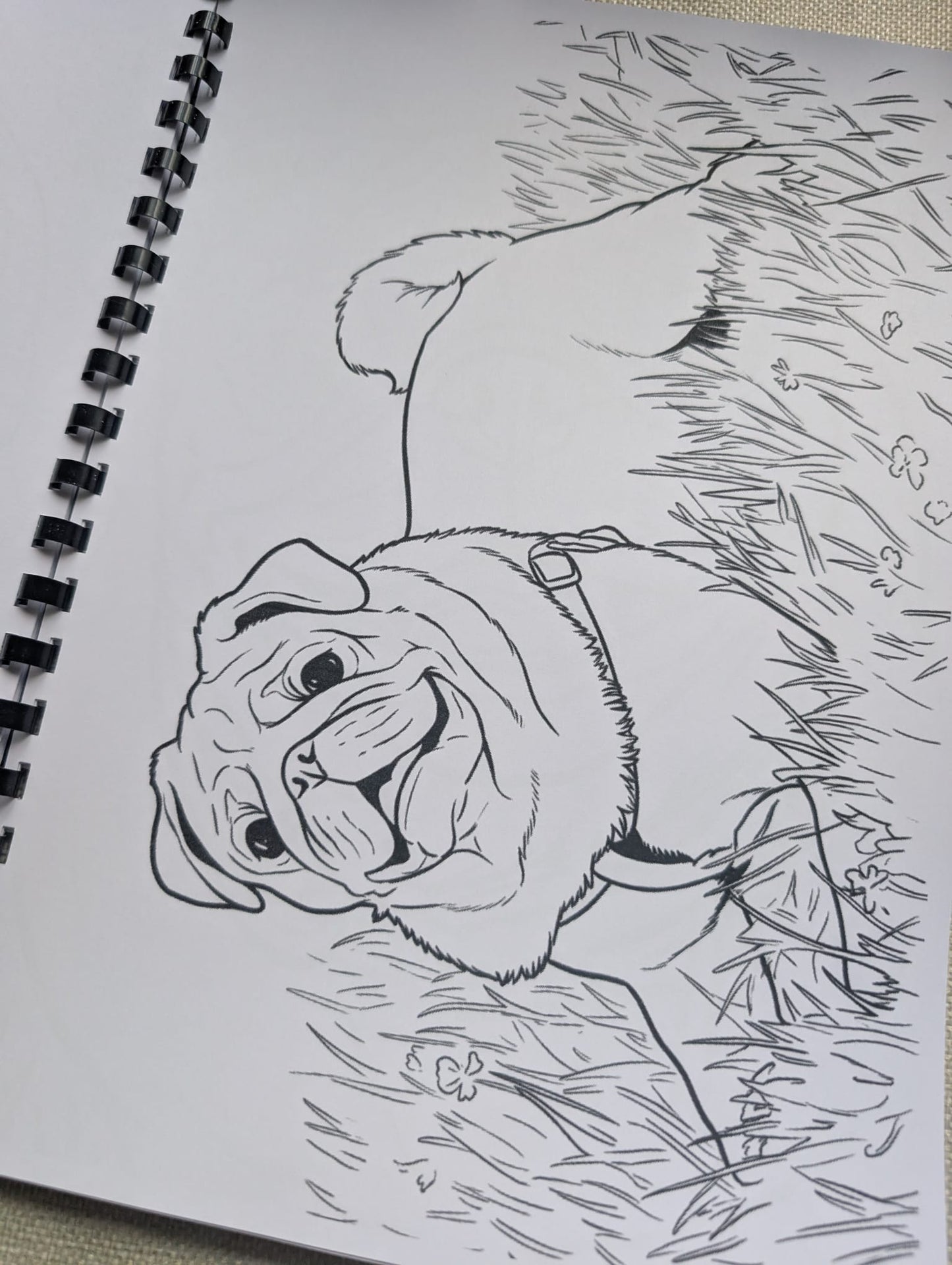 Pugs Colouring Book – Adorable Pug Dog Colouring Book | 20+ Cute & Fun Pug-Themed Colouring Pages